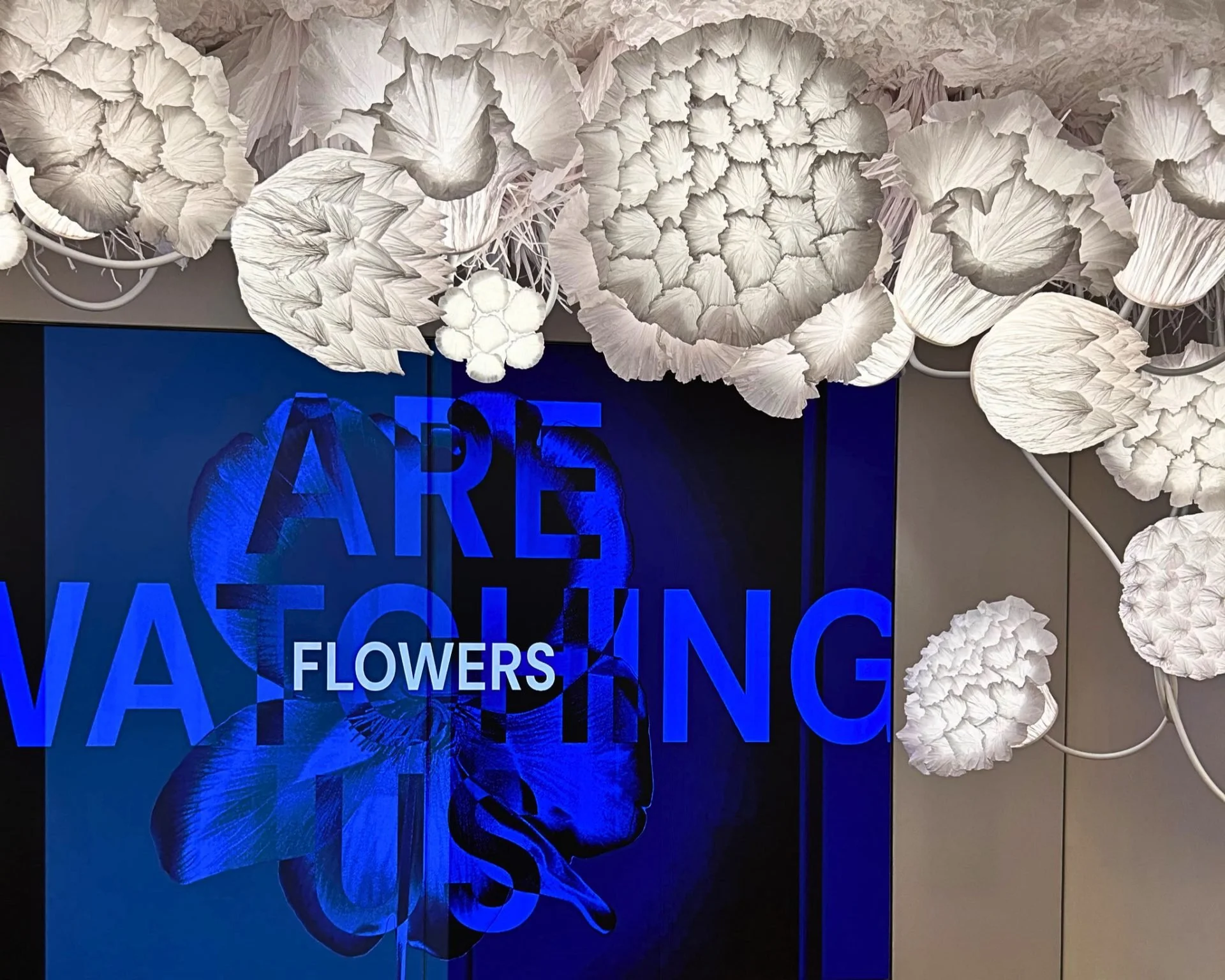 On The Scent… of NEWS: did you know that Flowers Are Watching Us? (And some surprising news about Andy Warhol.) 