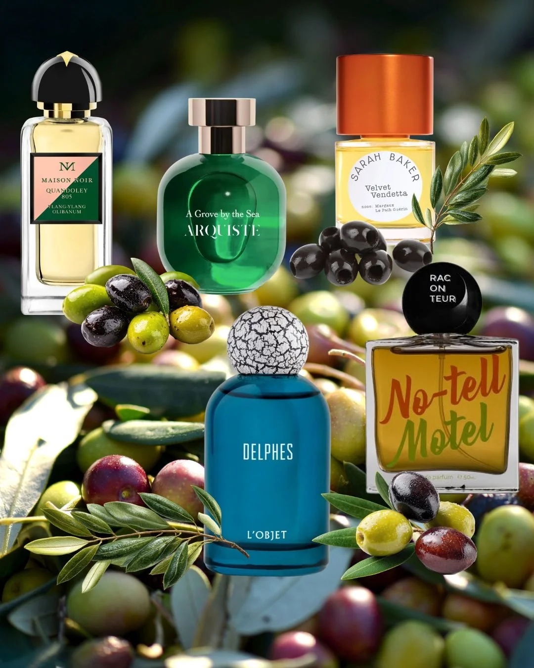 Take 5 Olive Fragrances