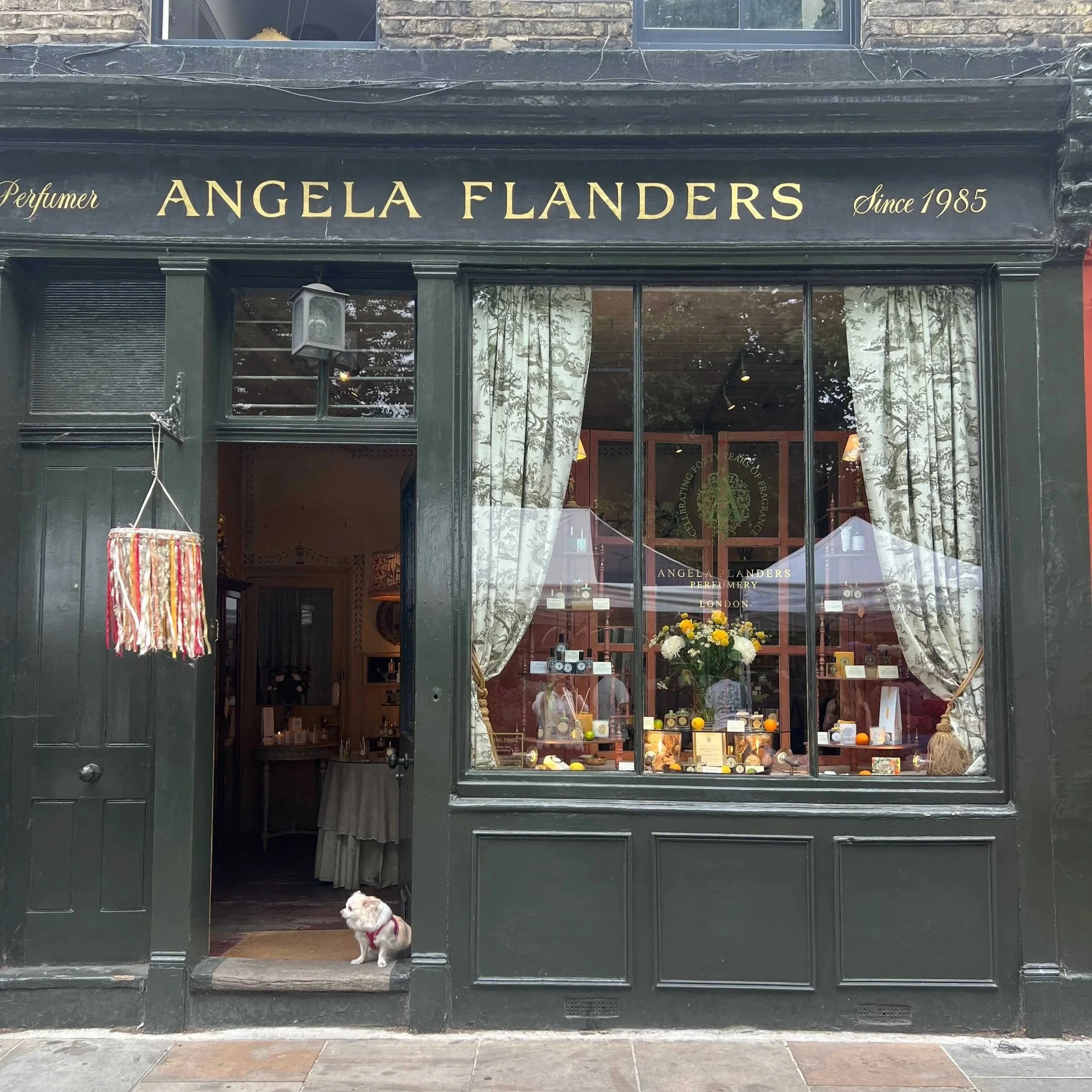 Angea Flanders
