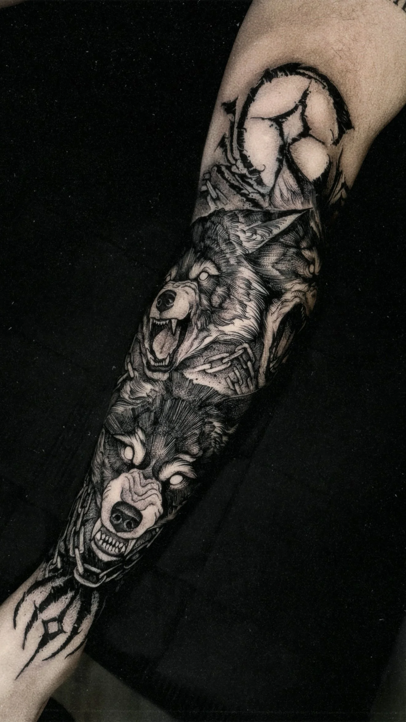 A dark, high-contrast forearm tattoo depicting two aggressive, snarling wolves with glowing white eyes, intertwined with heavy metal chains.