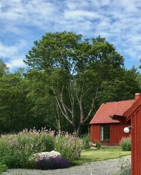 Delin+Arkitektkontor+Viggeby.jpeg