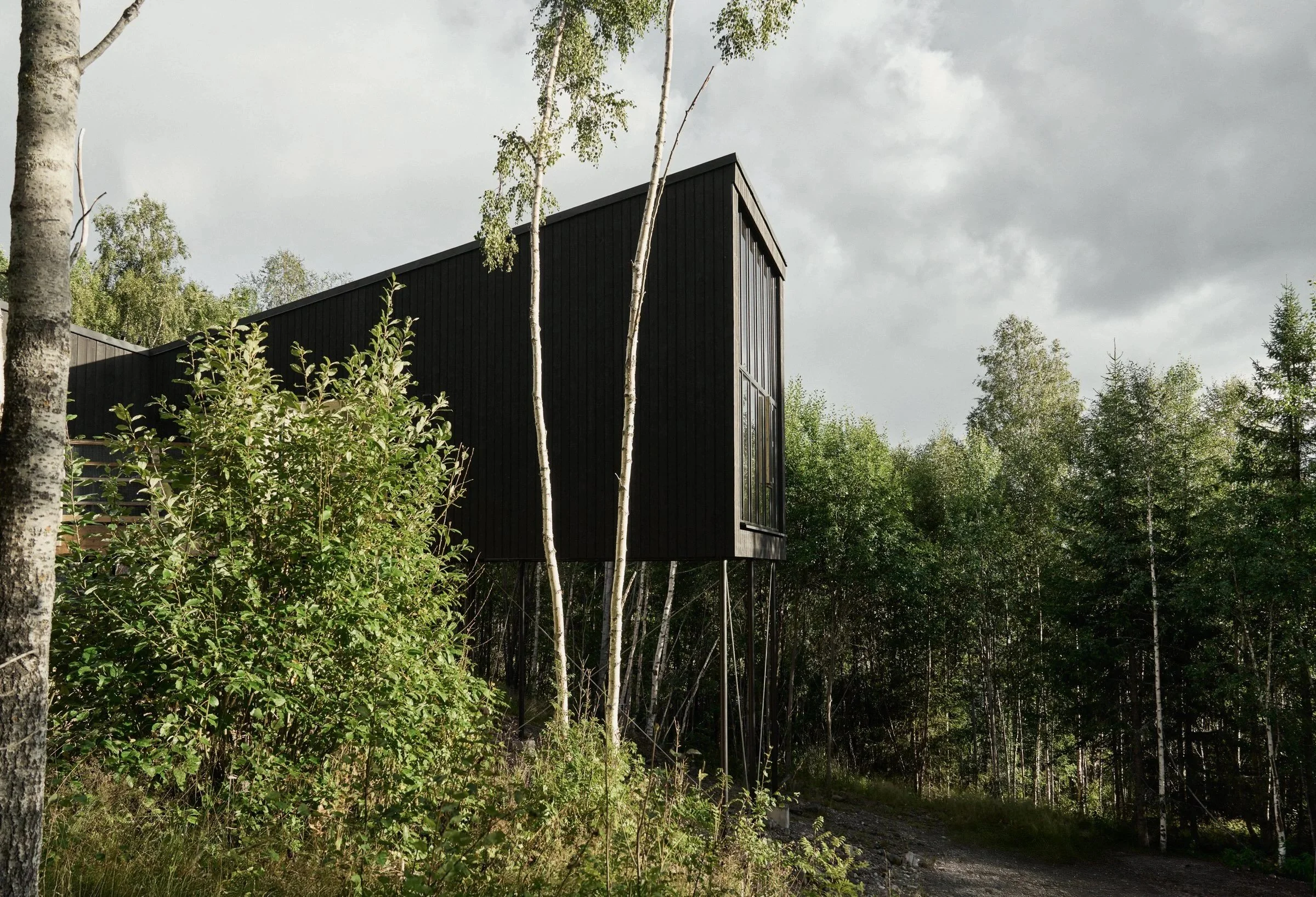 The Flying House