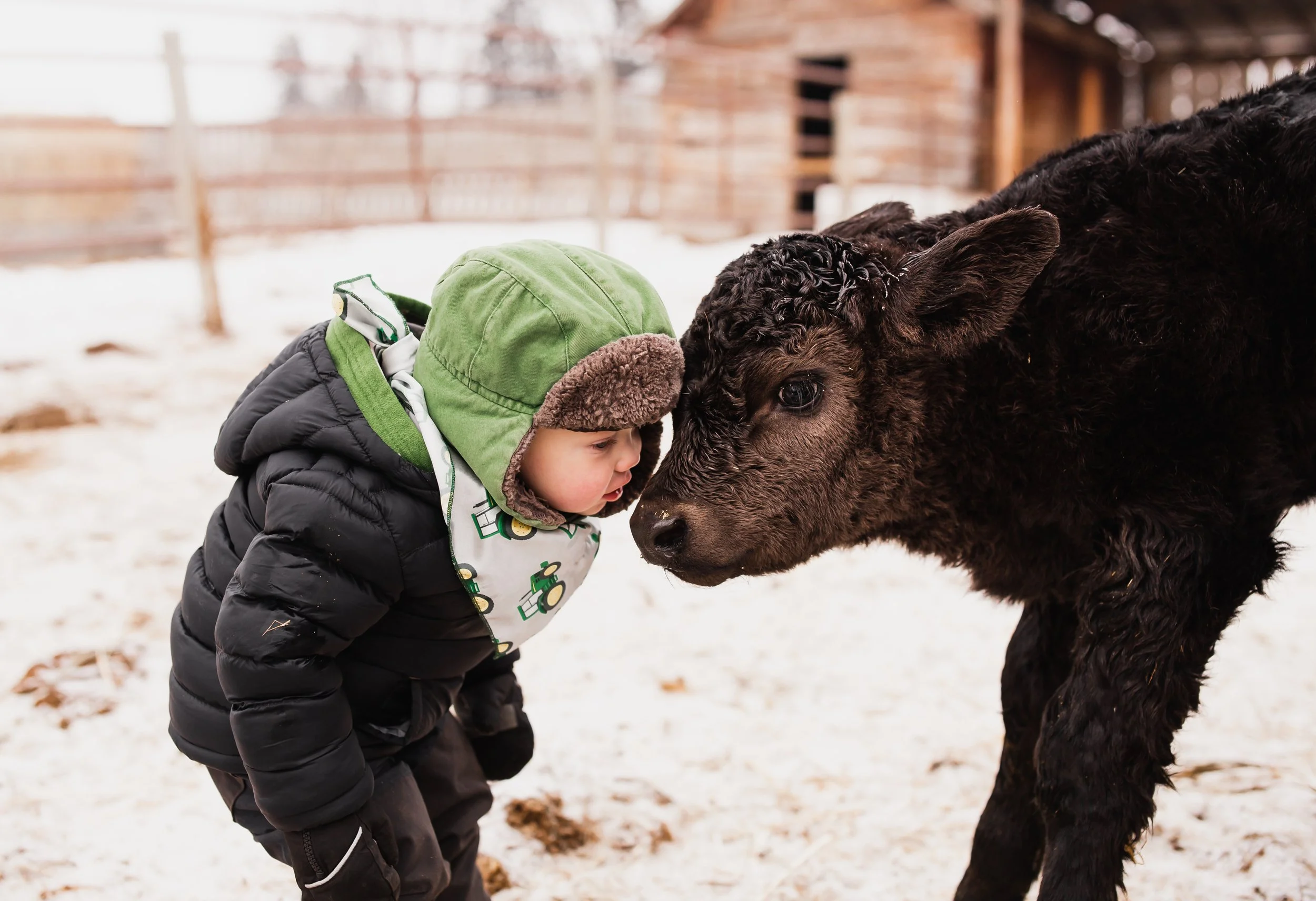 Lougheed Farms-6.jpg