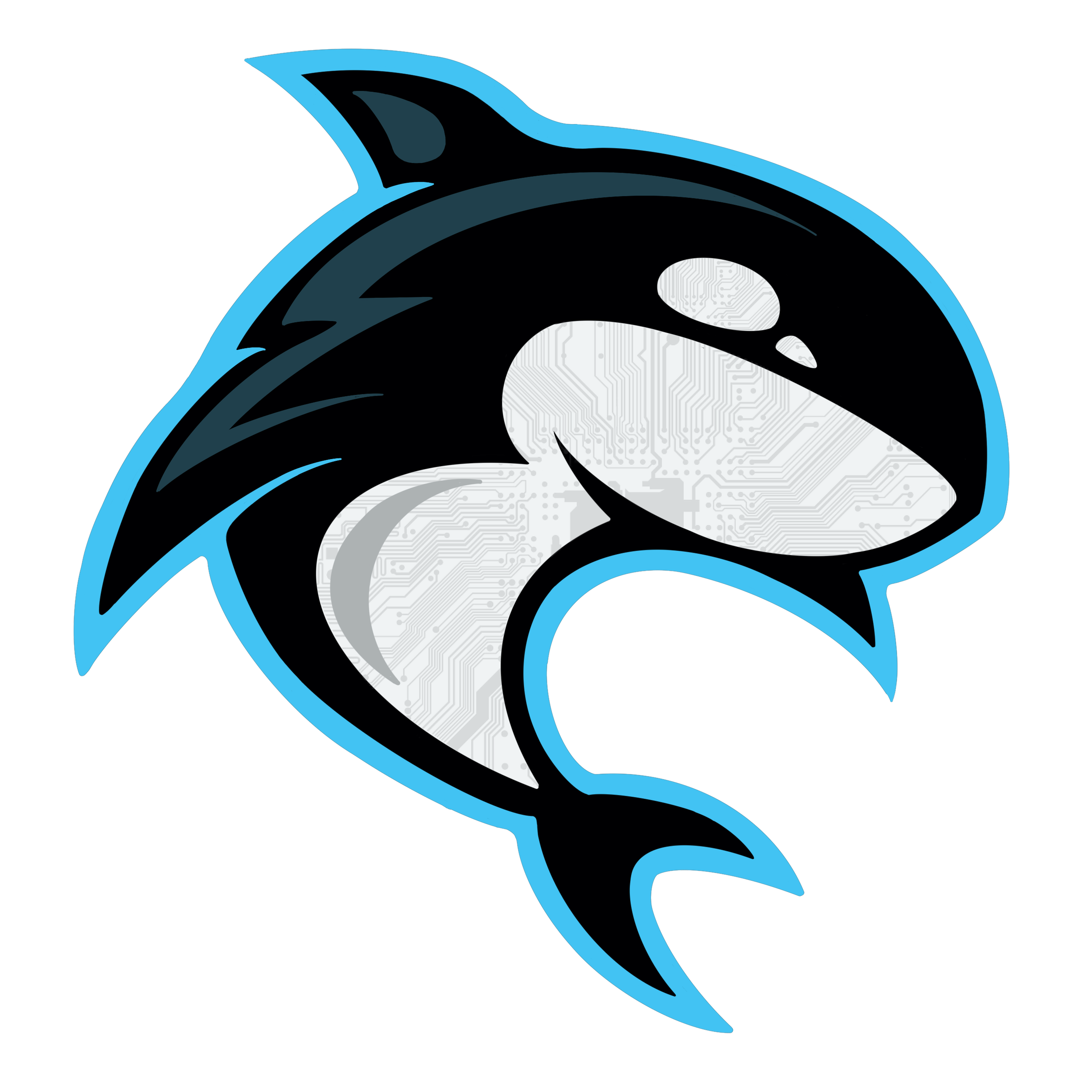 Custom Mascot Logo, 2023