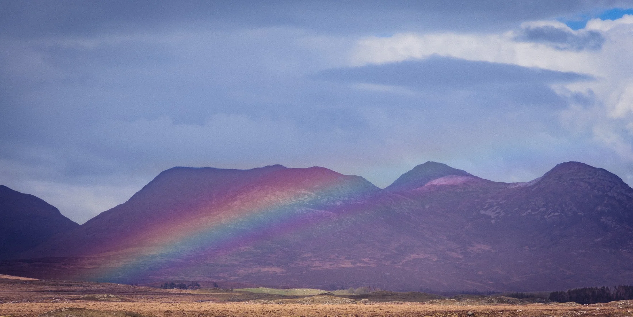 ireland_paying_attention-2.jpg