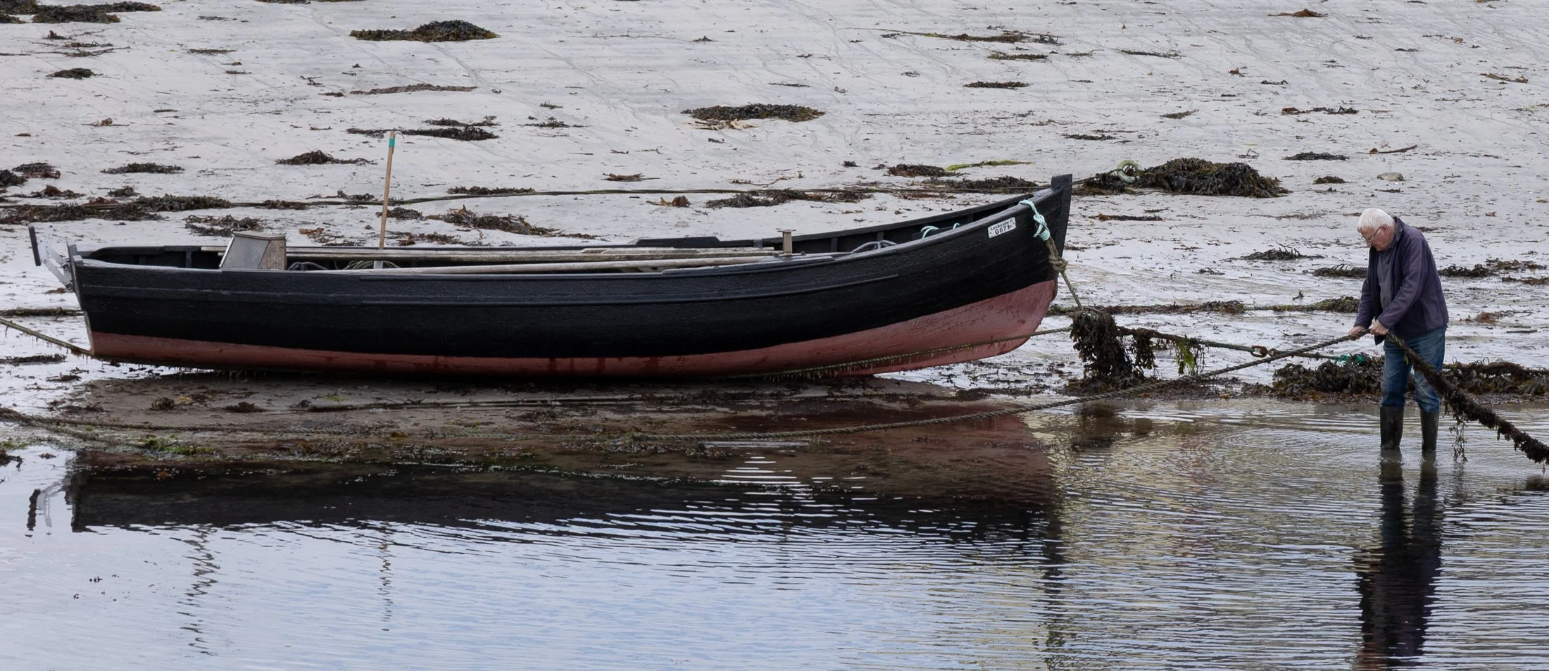 ireland_paying_attention-7.jpg