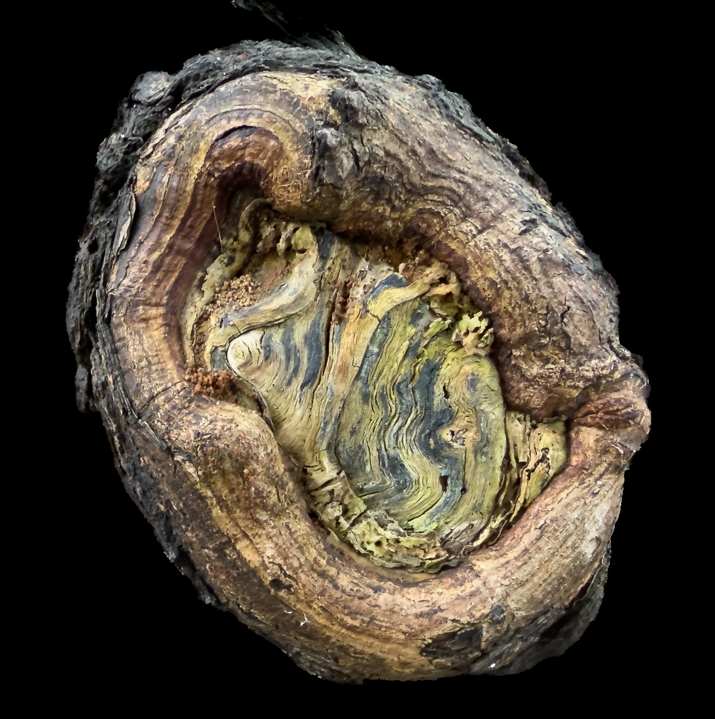 what is it?-1.jpg