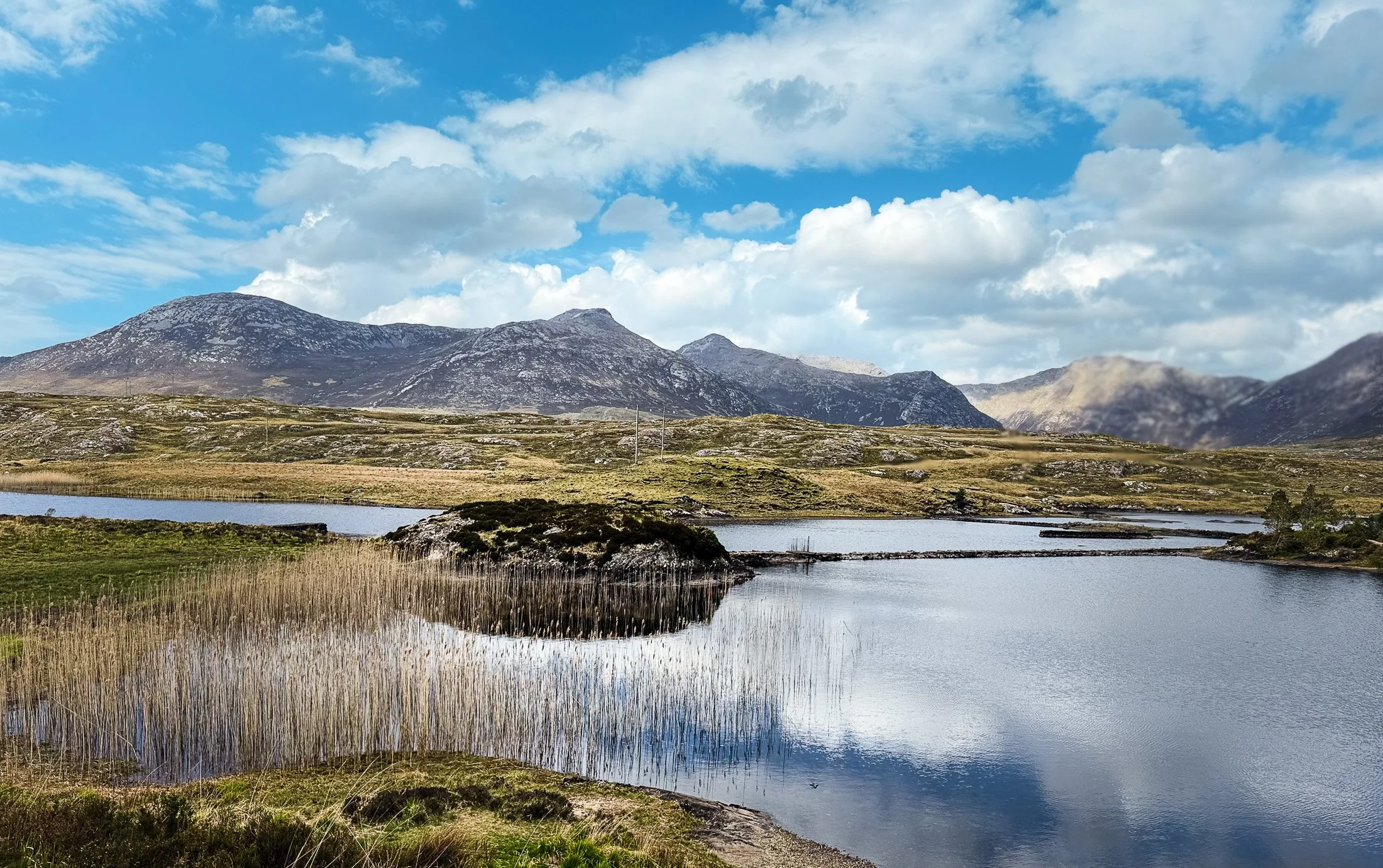 ireland_paying_attention-12.jpg