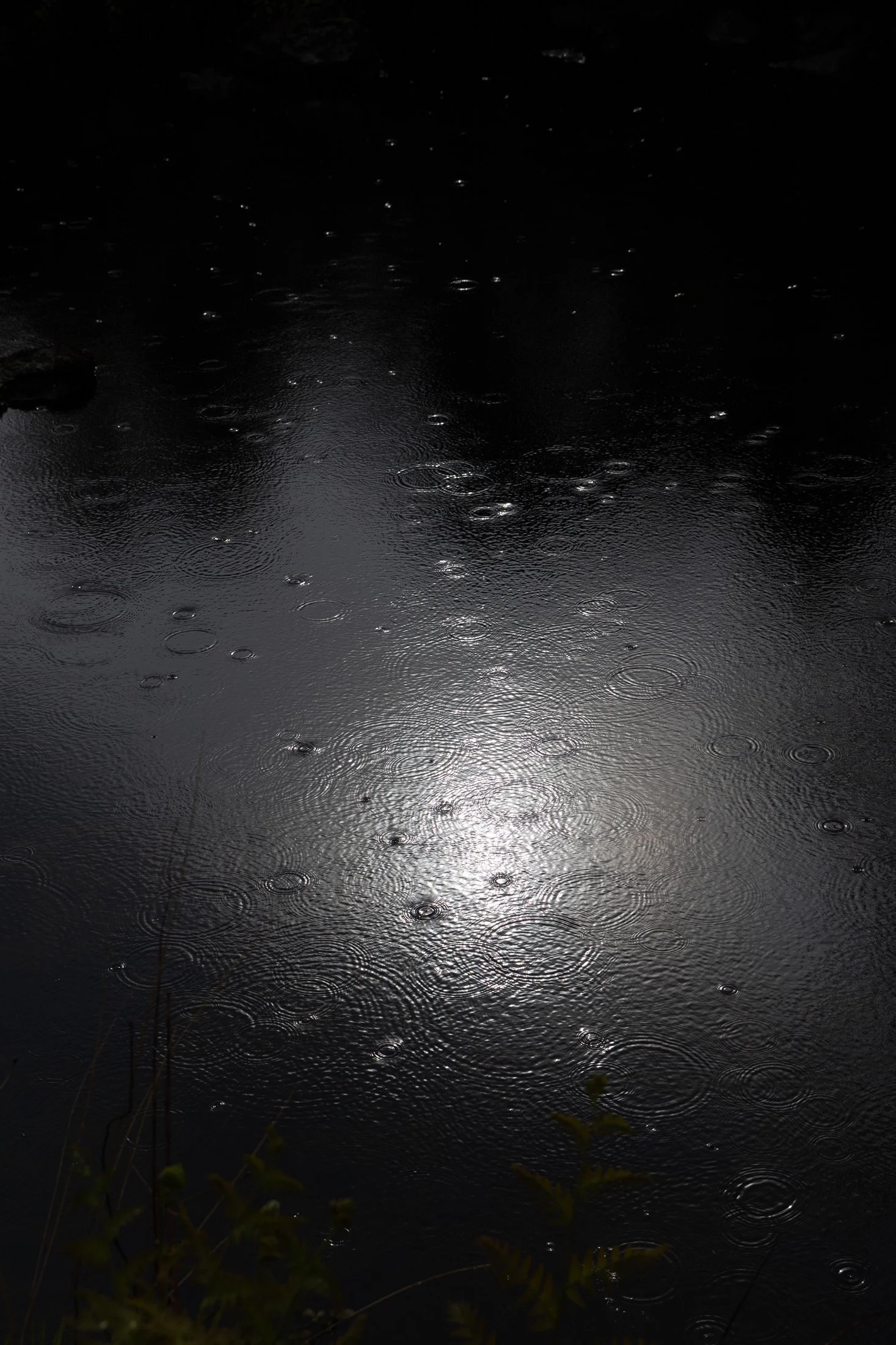 Circles