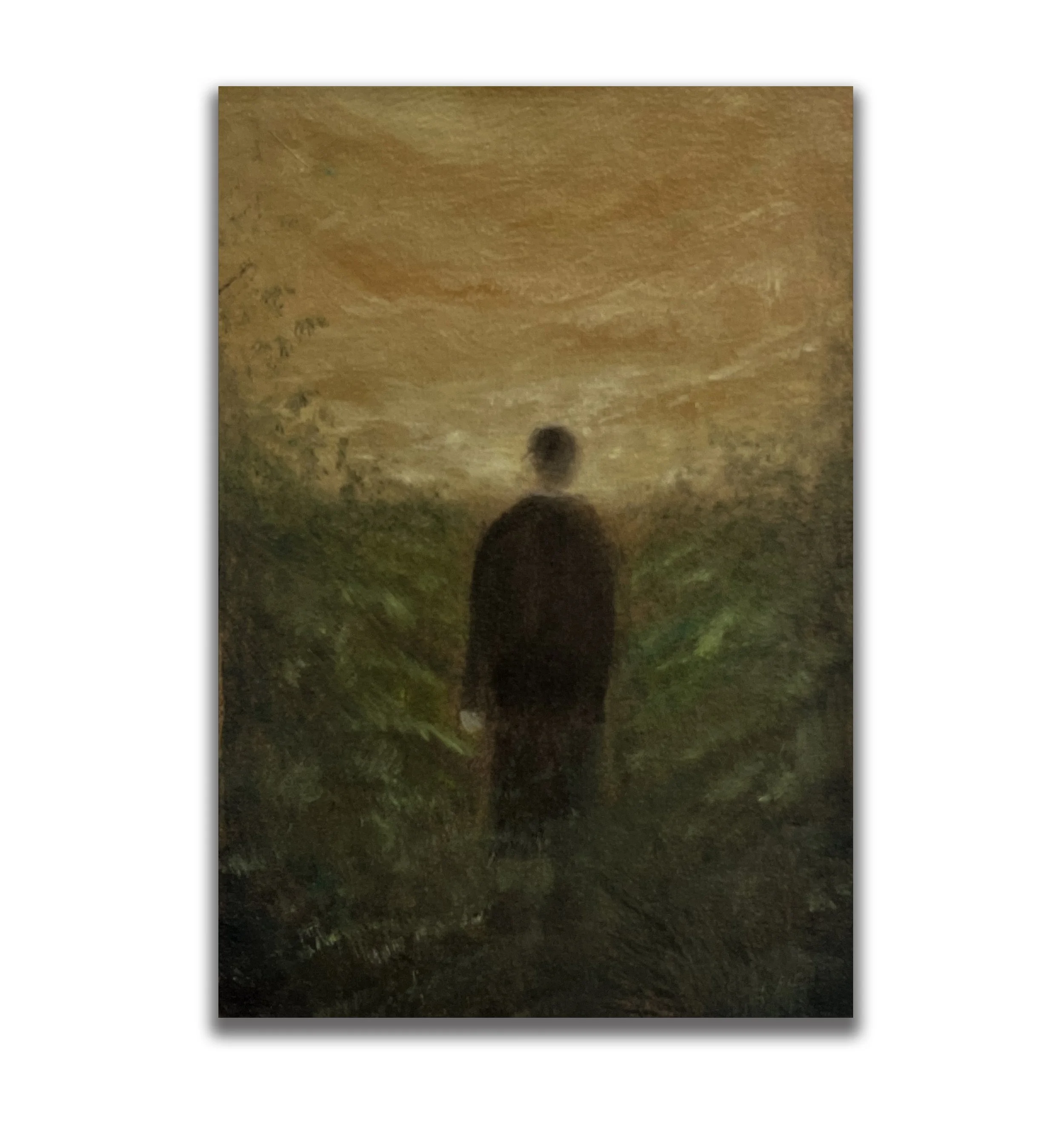 follow a path through the fields.jpg