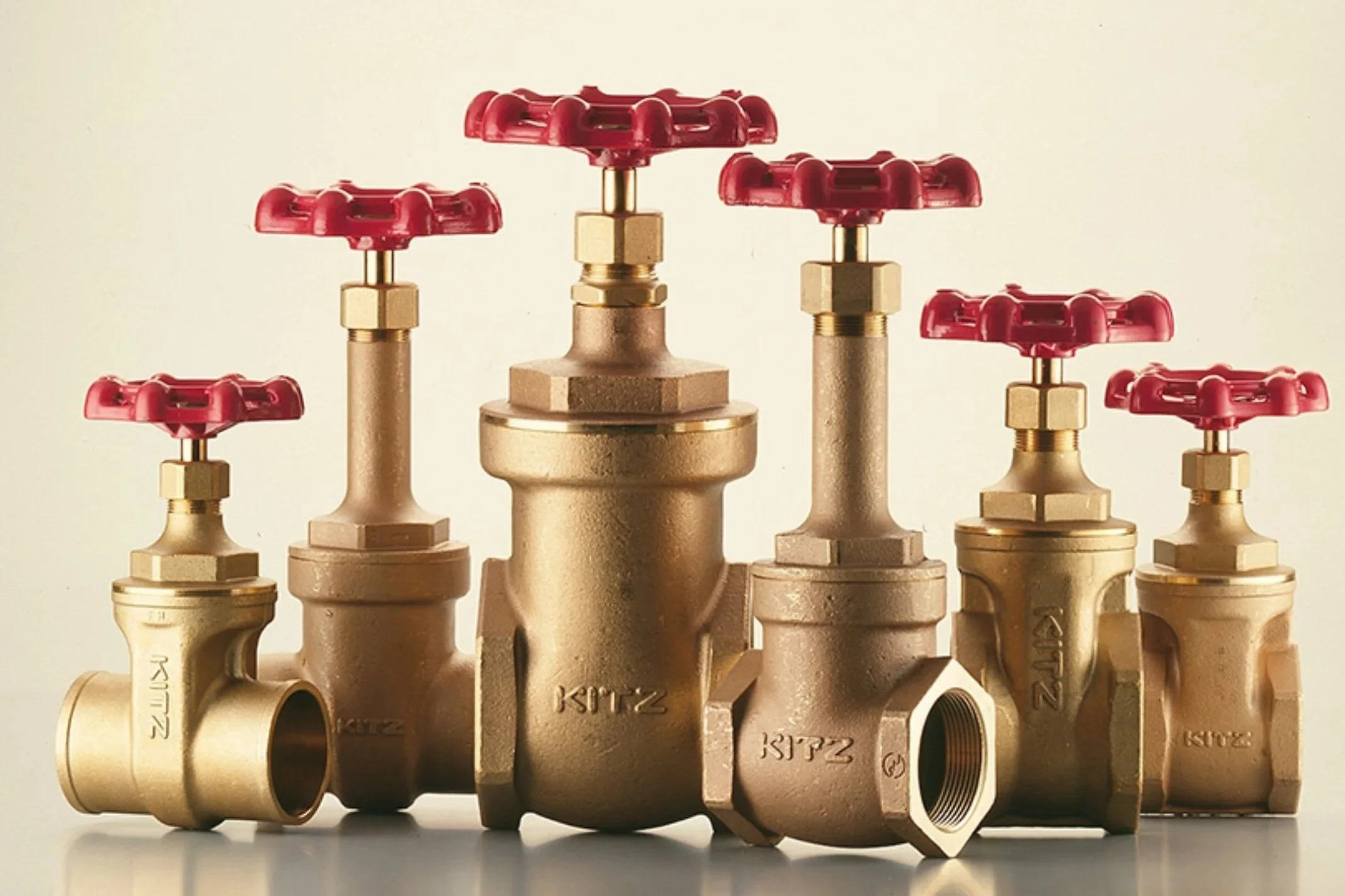 KITZ Expands Into Semiconductor Valves — What This Means for Flow Control