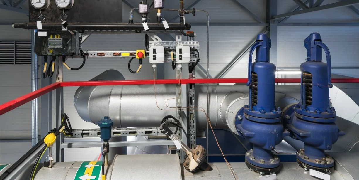 Steam & Thermal Process