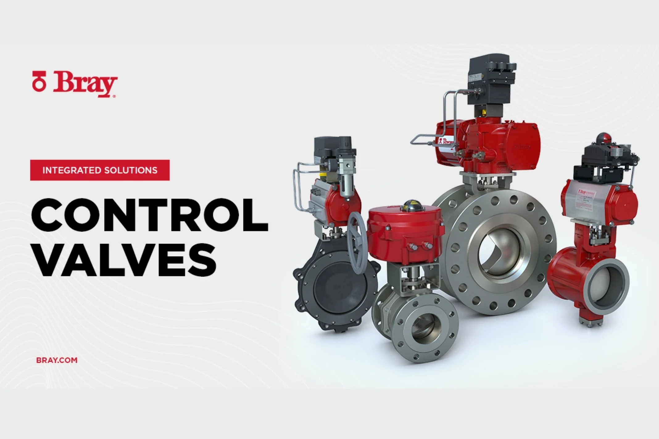 Bray - Submitted Company