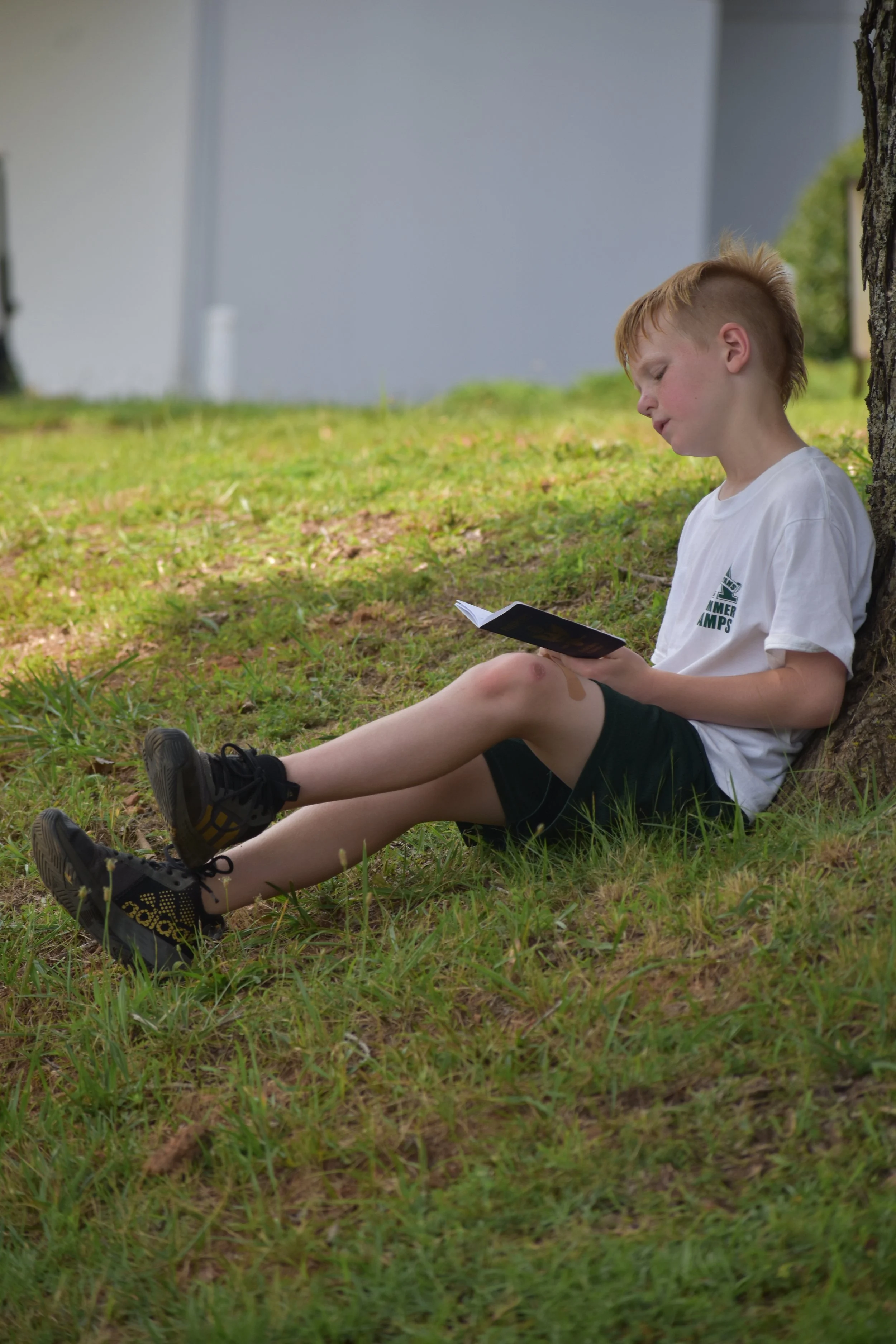 FMB_0109.JPG