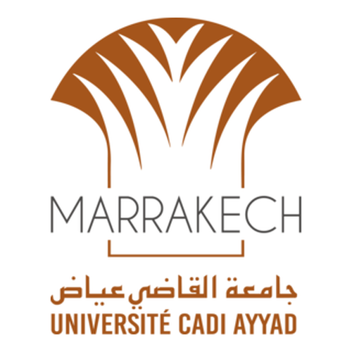 processed_universite-cadi-ayyad-marrakech-maroc-logo-png_seeklogo-315834.png