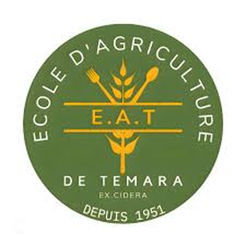 processed_images (1).png