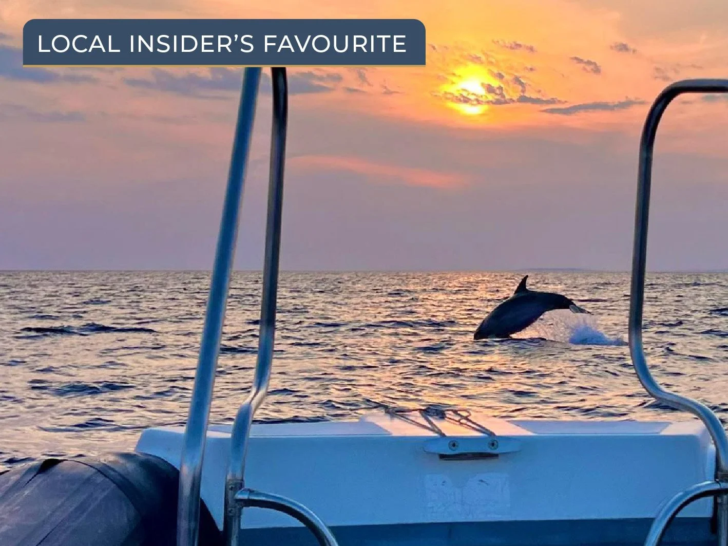 Dolphin watching boat tour and excursions around Vir island.