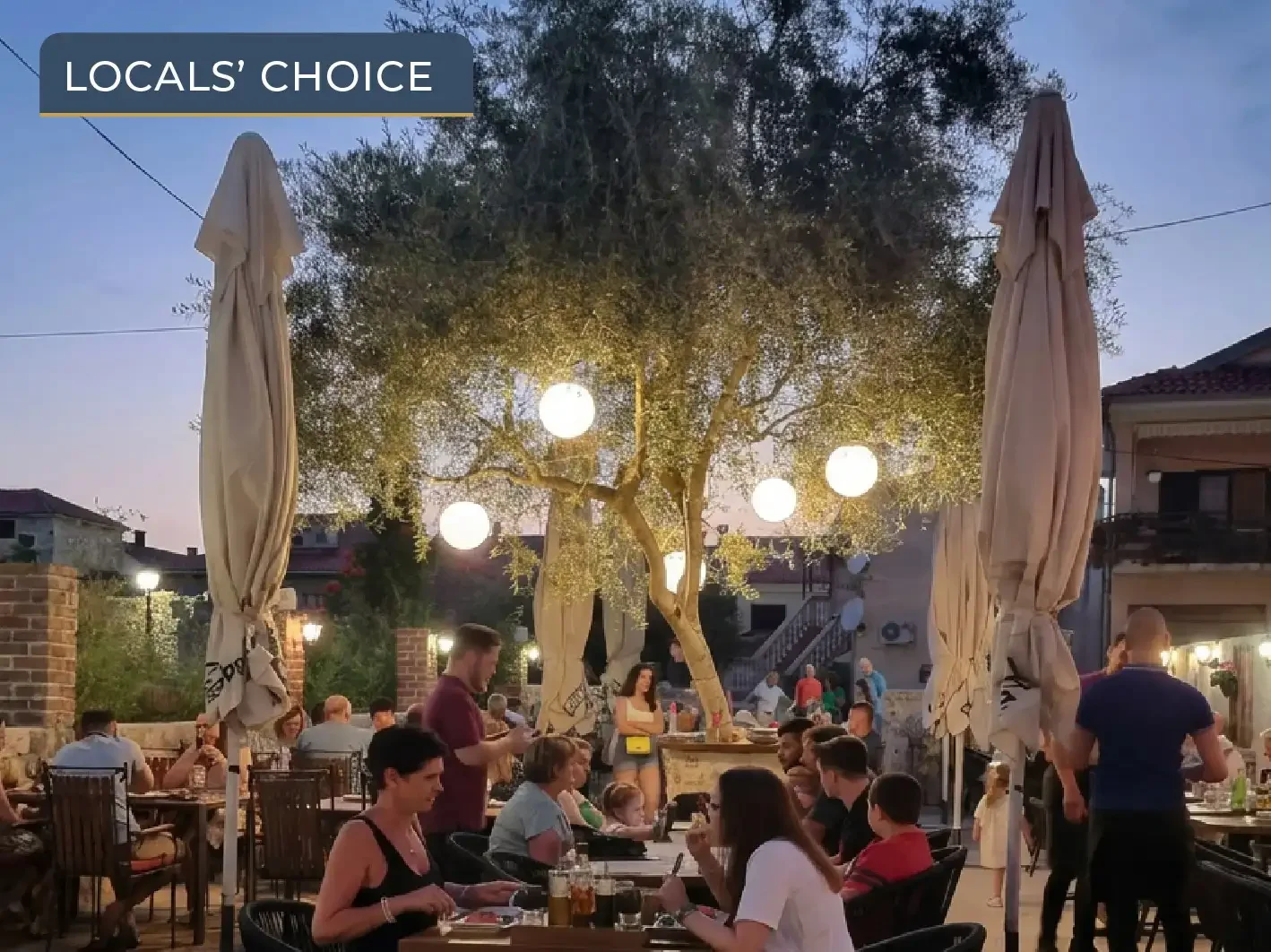 Outdoor terrace of Trattoria Peperoni in Nin under a large olive tree illuminated with hanging lights at dusk, with guests dining in a Mediterranean setting.