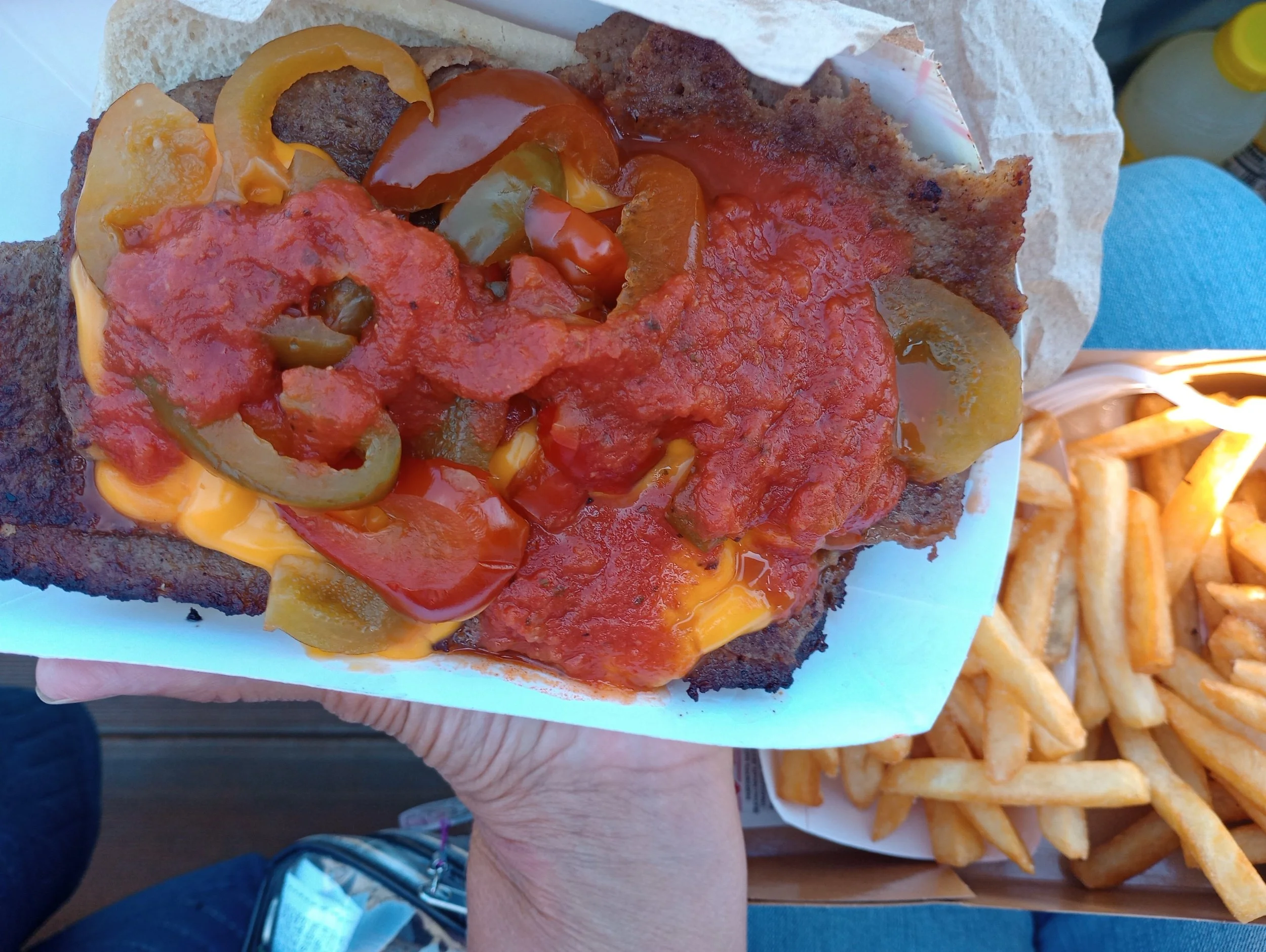Cheesesteak and fries at BAPS Motor Speedway  York Haven, PA