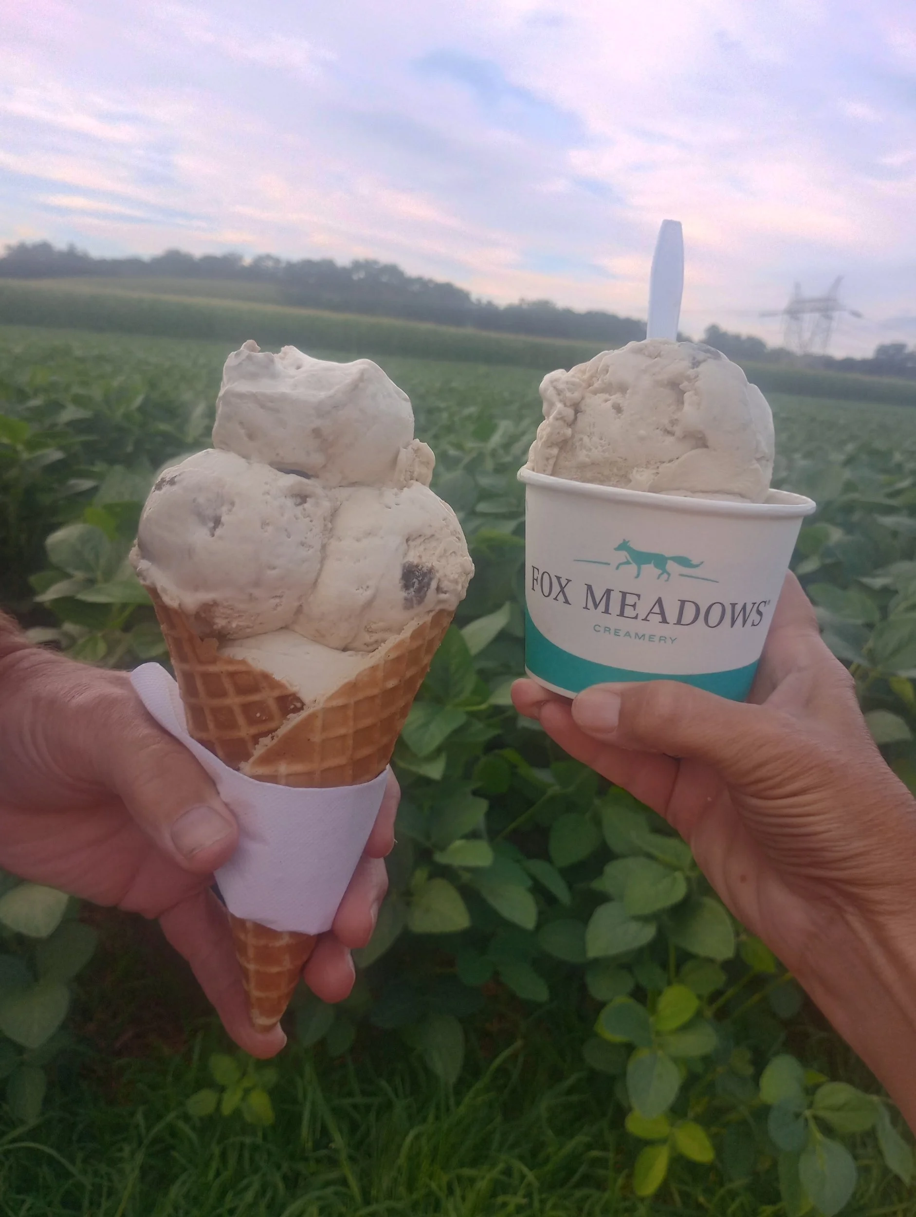 Fox Meadows' Creamery   Best Ice Cream
