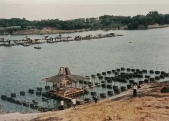 A waterfront scene with a floating structure and numerous black pontoons or buoys arranged in rows, with a person standing on the shore and trees in the background.