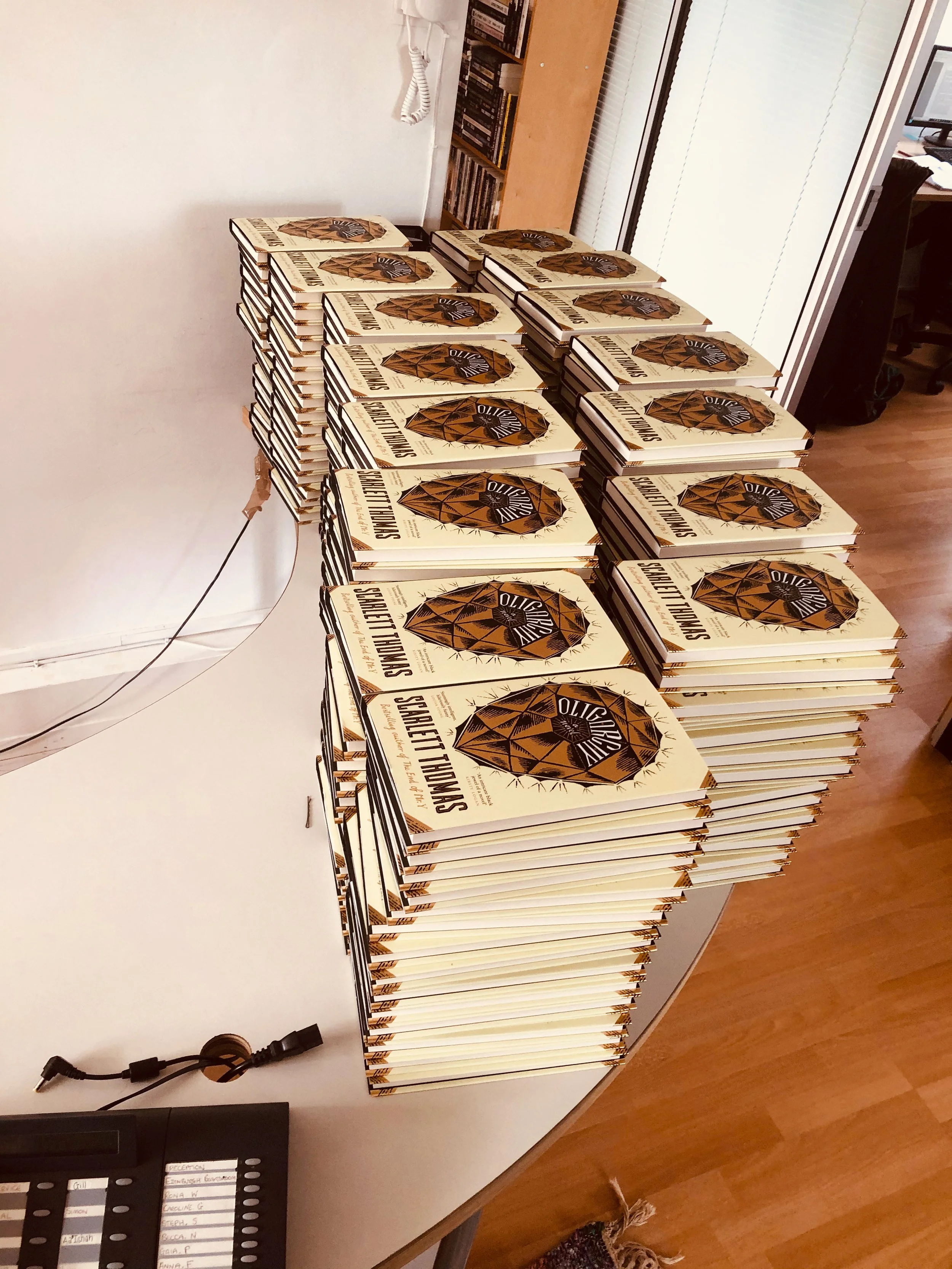 Multiple copies of a book titled 'Squirrel Theorem' stacked on a white table in an office setting.