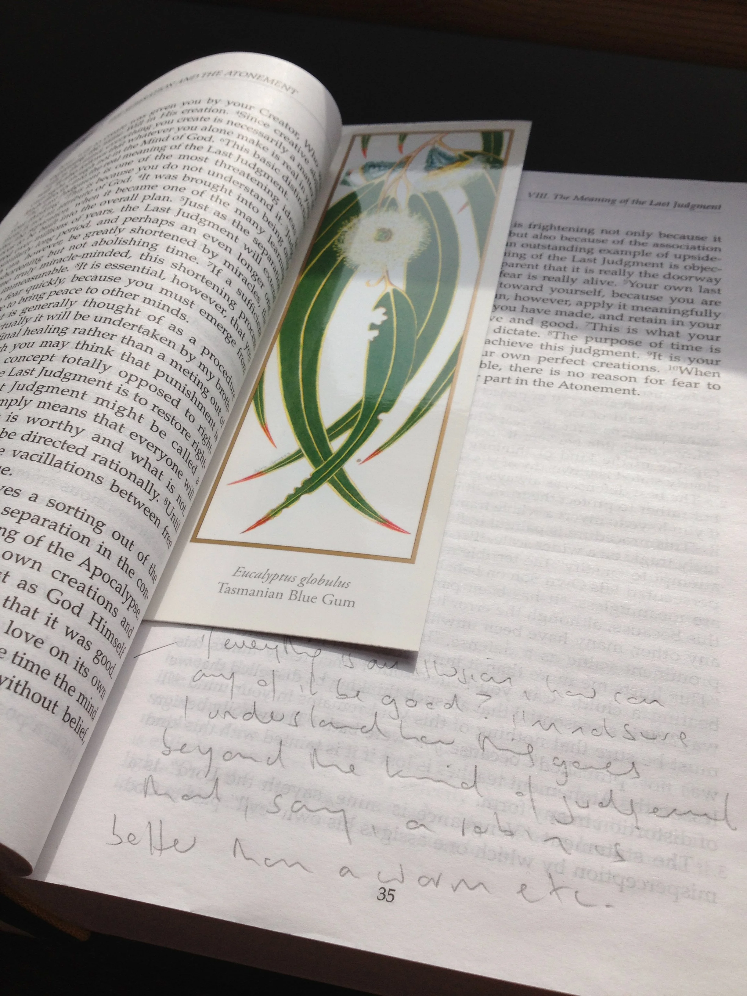 Open book with handwritten notes and a botanical illustration of a Tasmanian Blue Gum eucalyptus leaf.