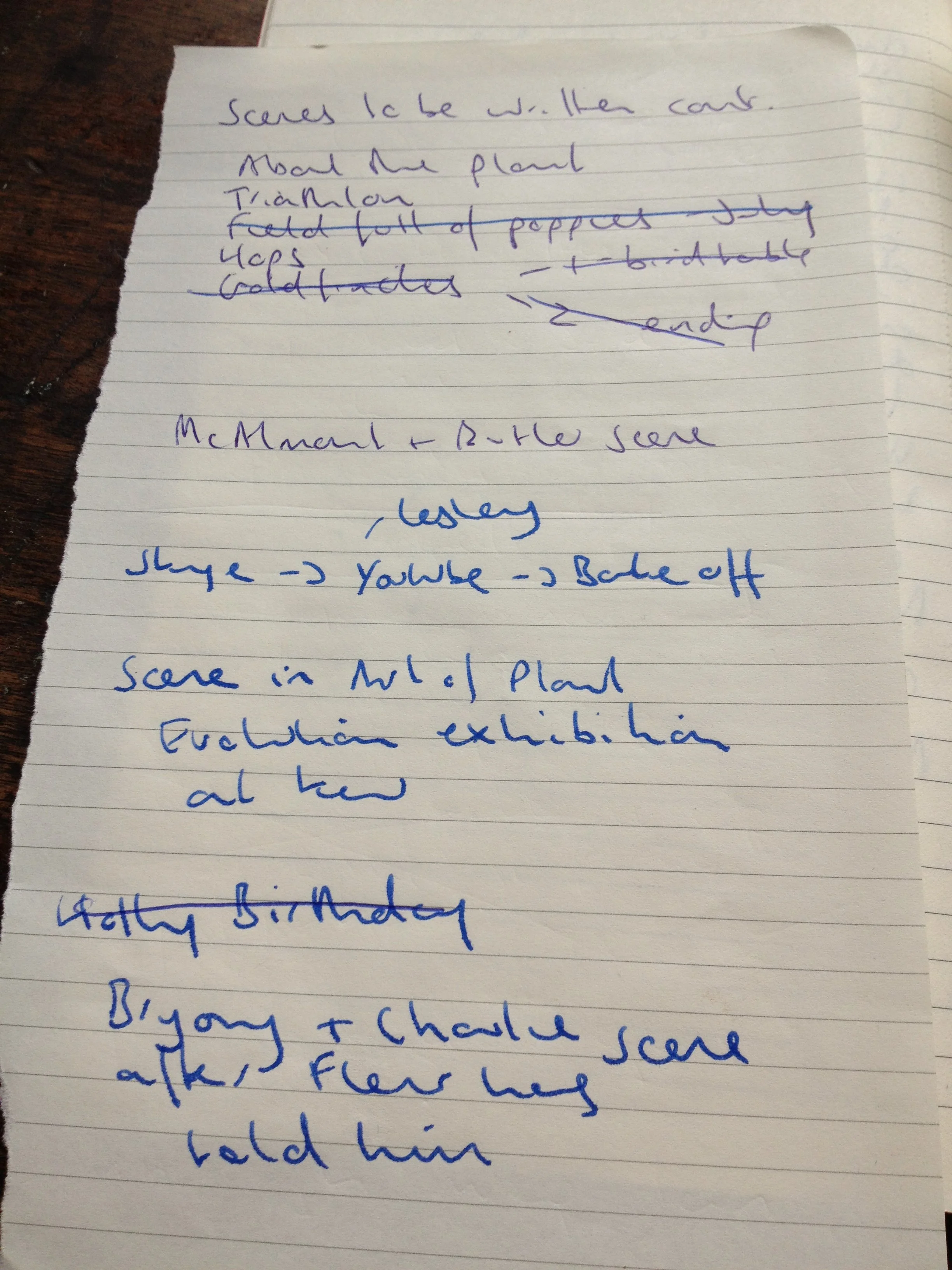 Handwritten notes on lined paper with text in blue ink, listing scenes, a bakery, and a birthday scene with flowers.