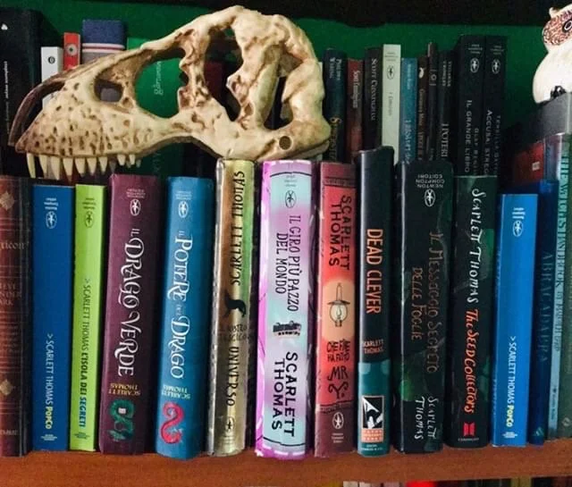 A skull of a small dinosaur or bird resting on a row of colorful books on a bookshelf.