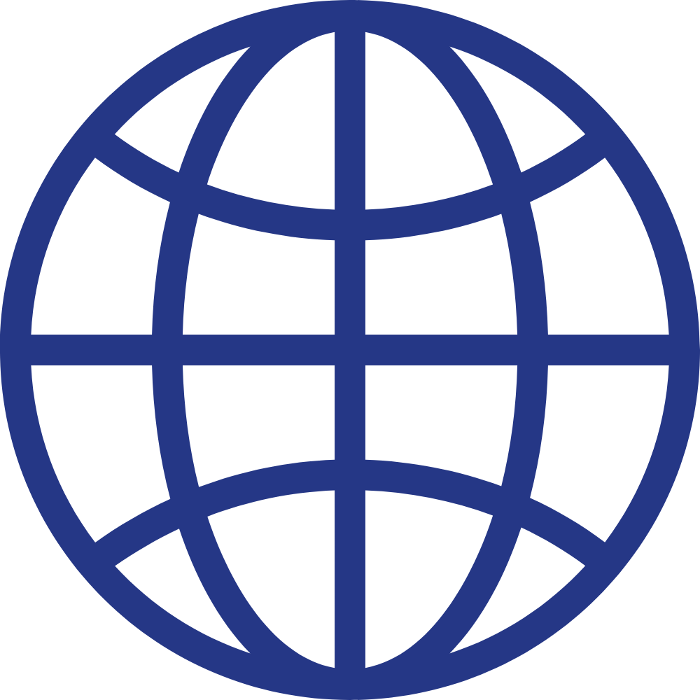 A blue globe icon with grid lines representing the world or global connection.