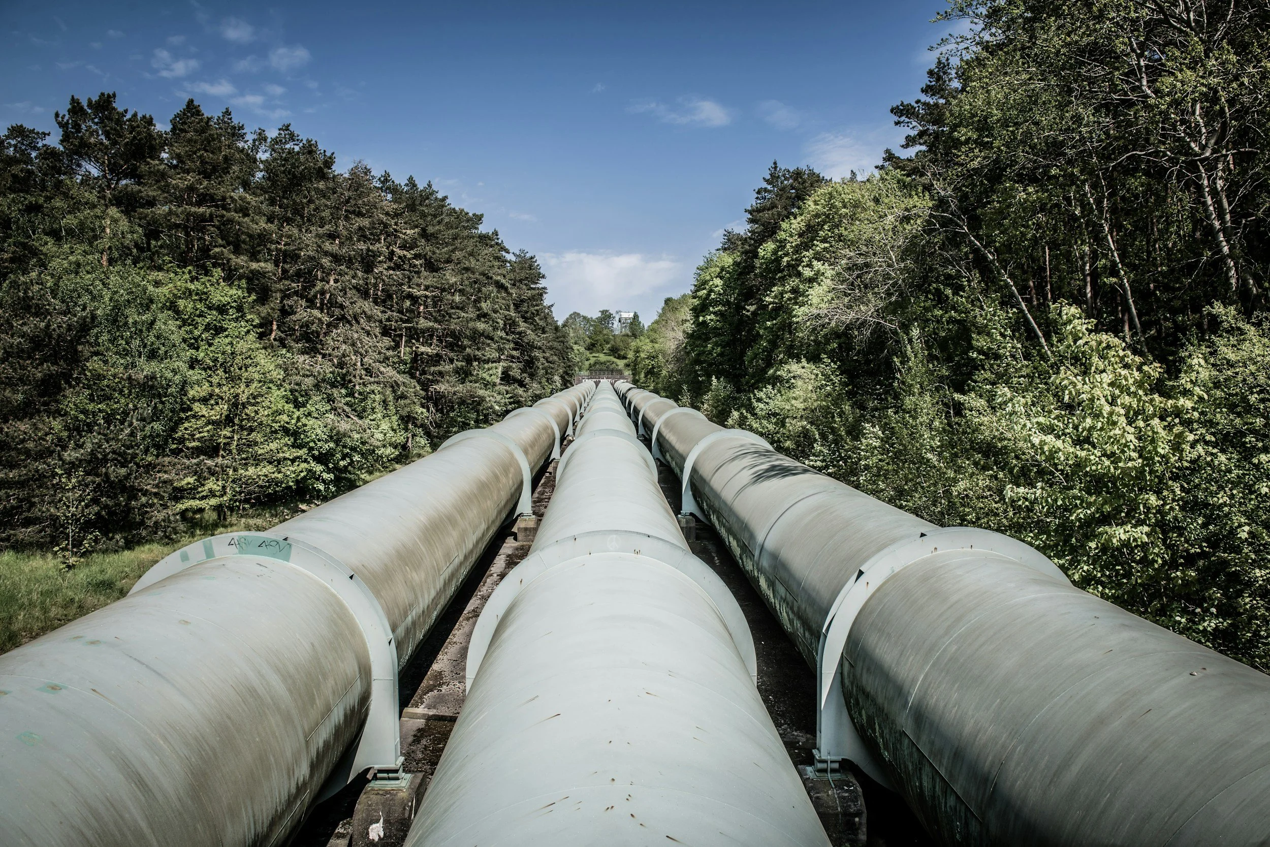 Three large industrial pipelines running through a green forested area, with trees on both sides and a blue sky overhead.