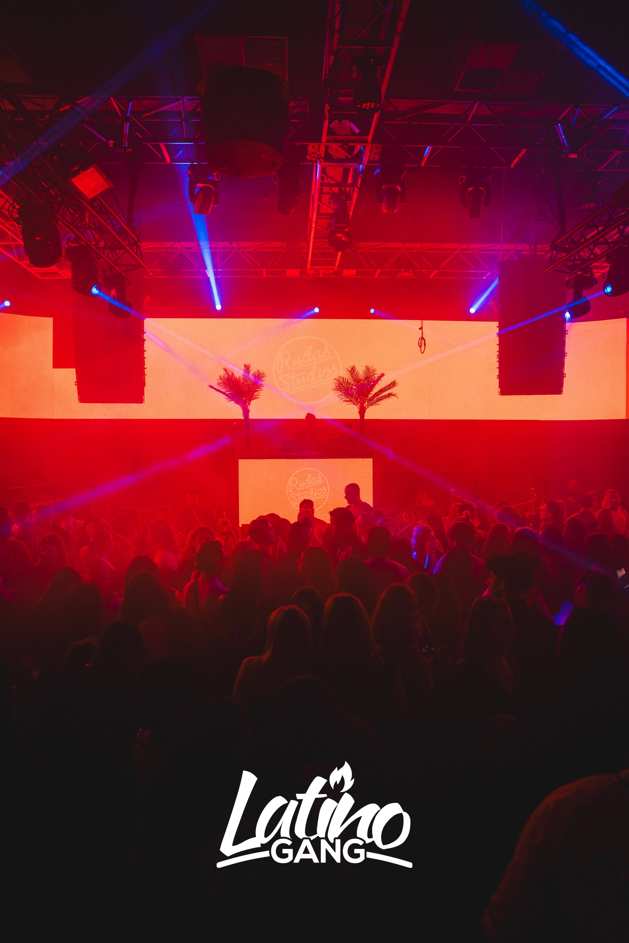 Menschen tanzen in einer Diskothek mit roter Beleuchtung und auf der großen LED-Wand im Hintergrund sind zwei Palmen zu sehen. Unten steht das Wort "Latino GANG" in weißer Schrift.