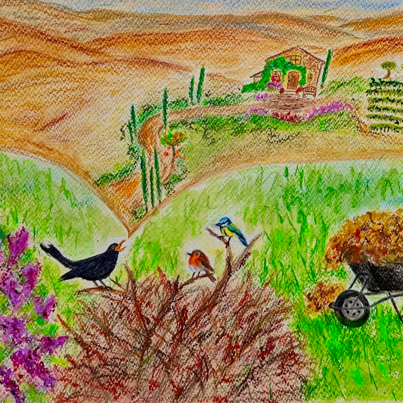 Illustration