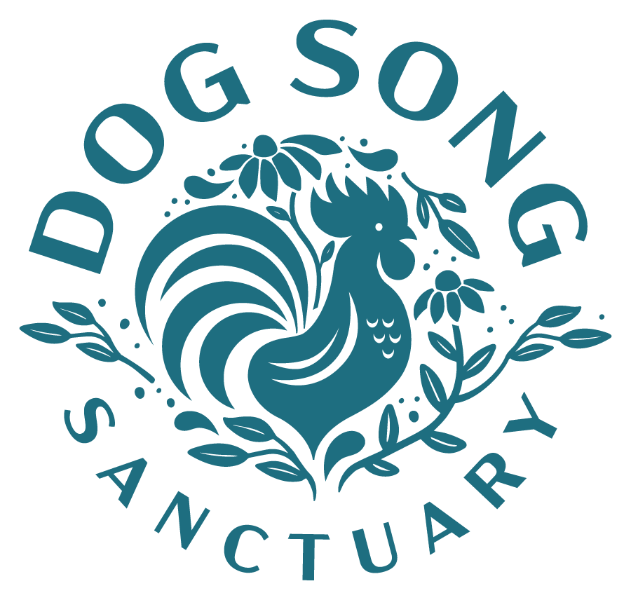 Dog Song Sanctuary 