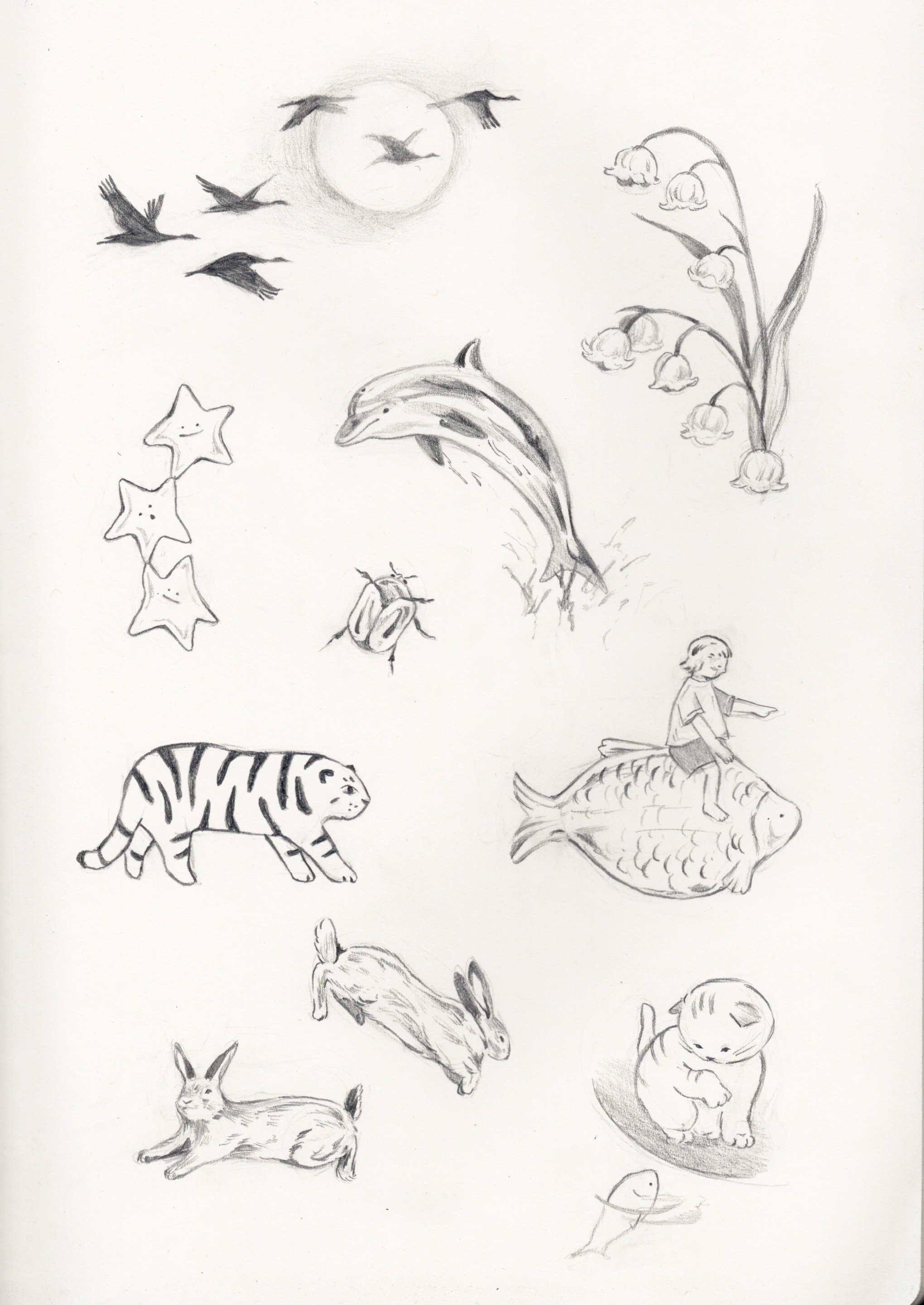 Flash 2024 ("Whimsy")