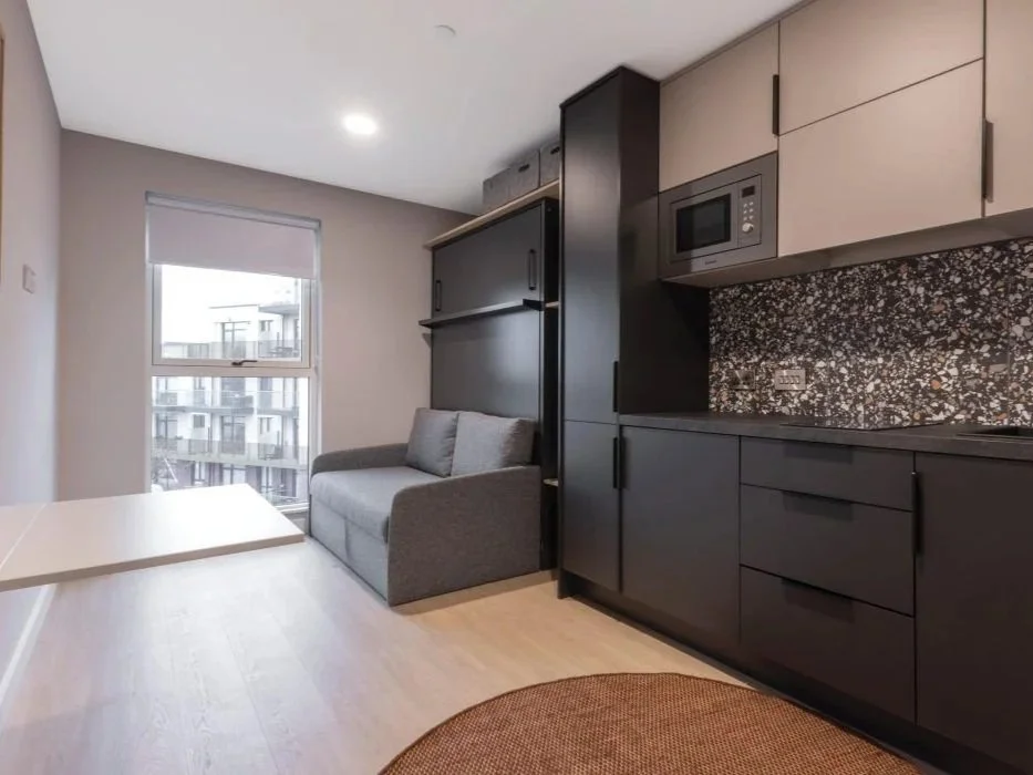 Location: Dx living Donnybrook, Dublin
Units: 86 studio apartments. 
Works carried out: Assisting with the first and second fixes. Working alongside the main contractor doing the hallways and common areas.