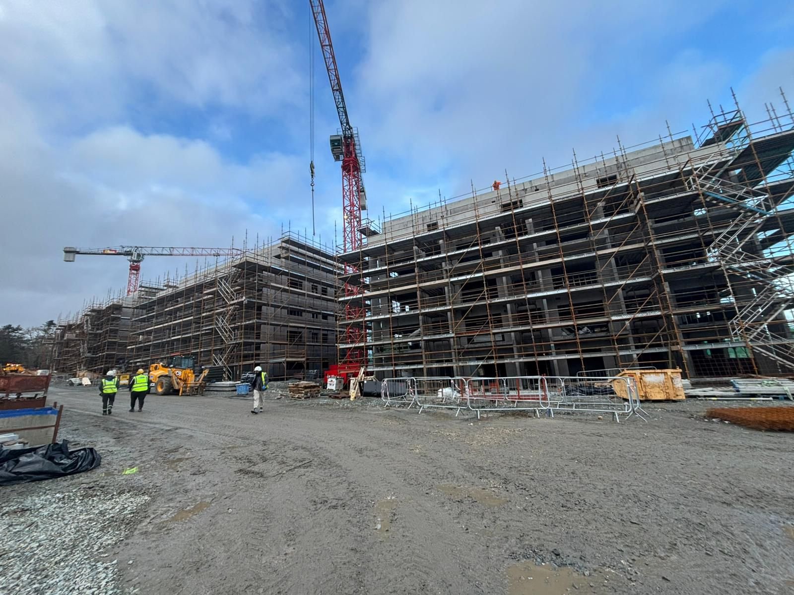 Location: Carrickmines, Dublin 
Units:88 apartments 
Works Carried out:Assisting on the first and second fixes