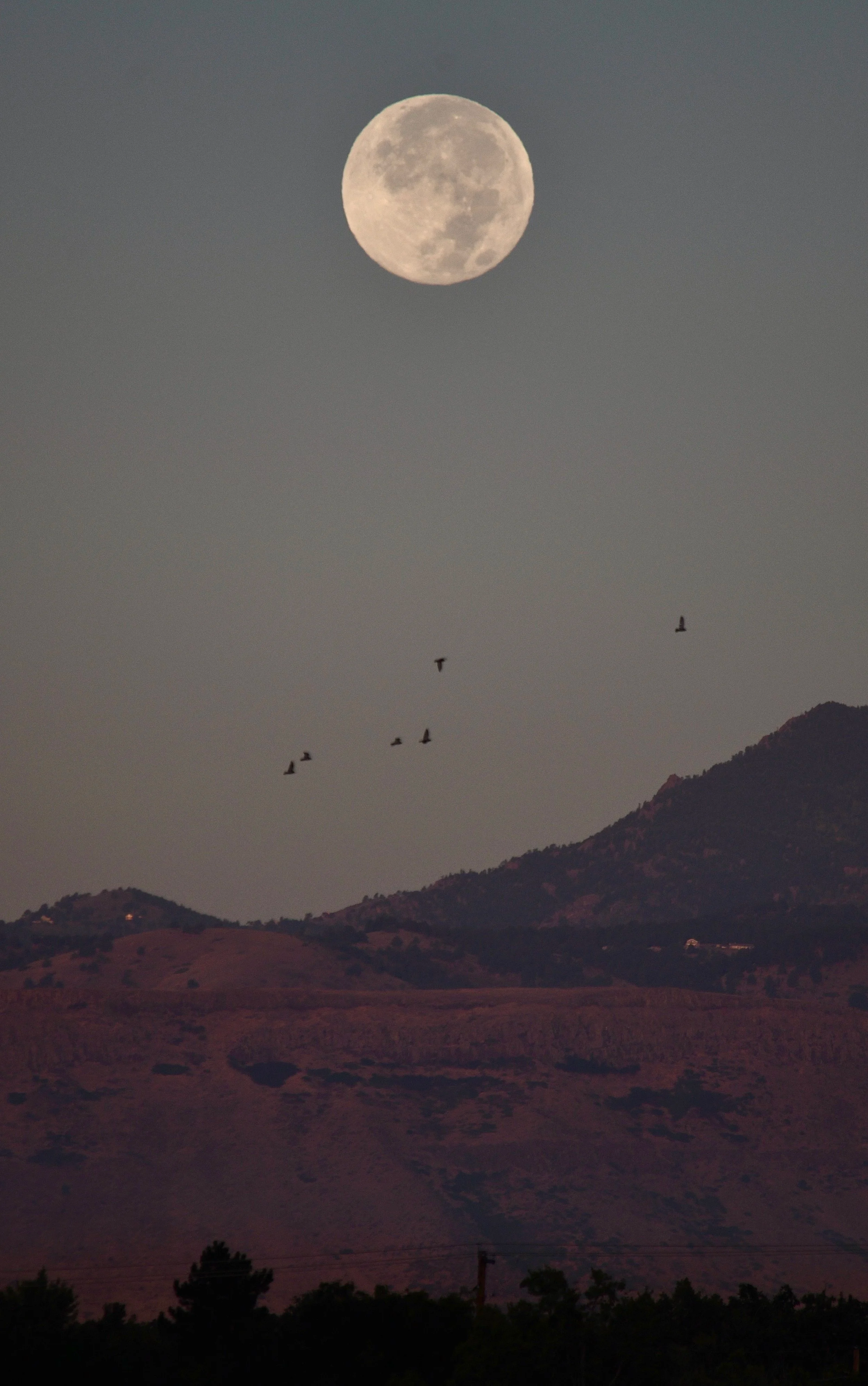 Moon - 09 18 24 - E4415