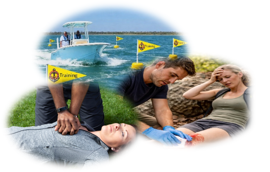 Essent Op Pckg Stock Trans Best.png