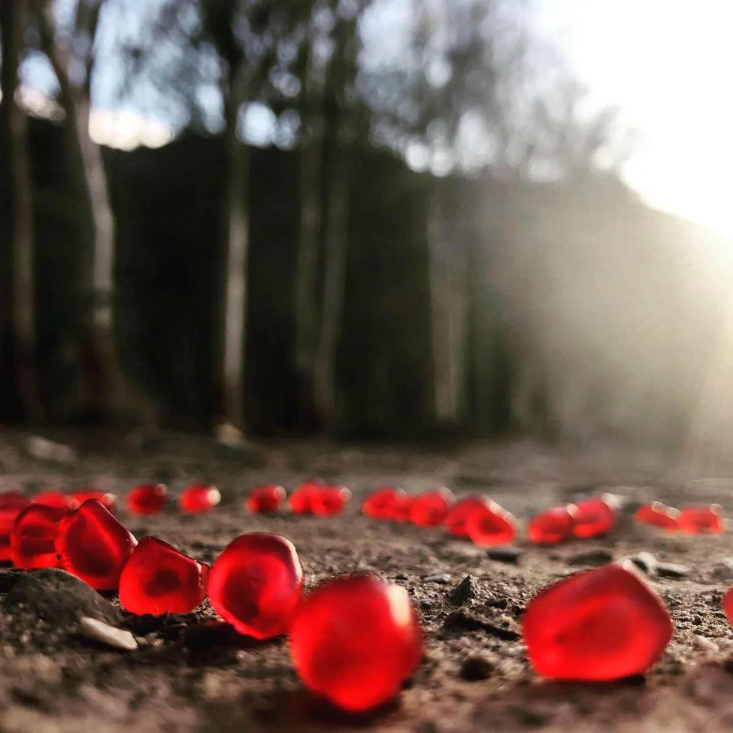 B375AFBB-D790-4B3D-A061-4147CF435266 3.JPG