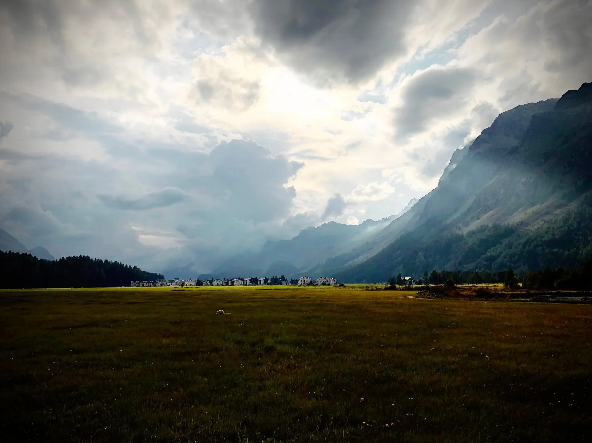 Questa &egrave; la foto che ho scelto per dire cosa significa per me &ldquo;restare&rdquo;, il tema dell'ultima newsletter. L&rsquo;ho scattata due anni dopo essermi trasferita in montagna, ormai sette anni fa. 

La fascinazione iniziale si era disso