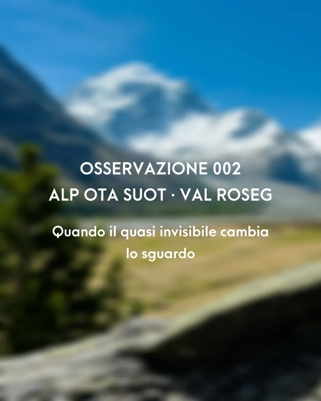 Mentre mi trovavo davanti al ghiacciaio della Val Roseg, a trattenere il mio sguardo sono stati alcuni fili di ragnatela, e non perch&eacute; avessi deciso di cercare le piccole cose. 

Comparivano e scomparivano nell&rsquo;ombra del bosco e, seguend