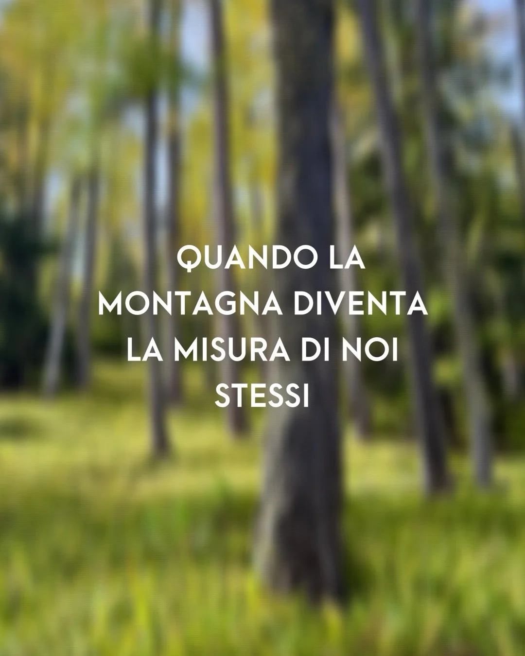 In montagna incontro spesso persone che la amano profondamente, la conoscono, la frequentano in ogni stagione e si impegnano per preservarne gli ambienti e gli equilibri.

Sono esperienze importanti, che possono richiedere conoscenza, impegno e respo
