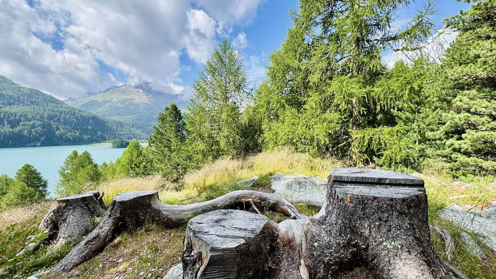 Paesaggio di una strada di montagna con alberi verdi, un lago blu e montagne sullo sfondo, con un ceppo di albero tagliato in primo piano.