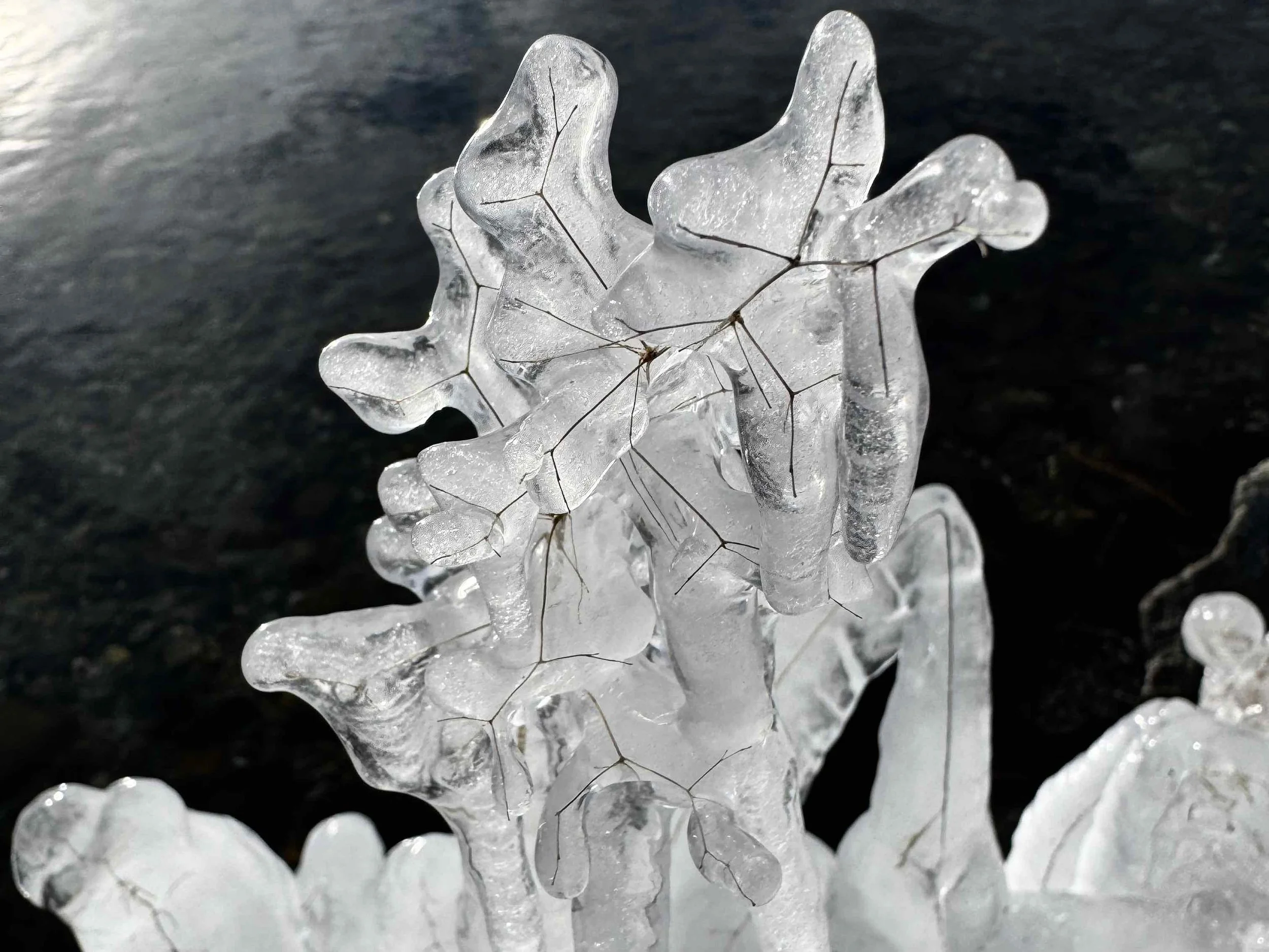 Dettaglio di un pezzo di ghiaccio trasparente con venature e inclusioni, sulla superficie di un lago o di un corso d'acqua.