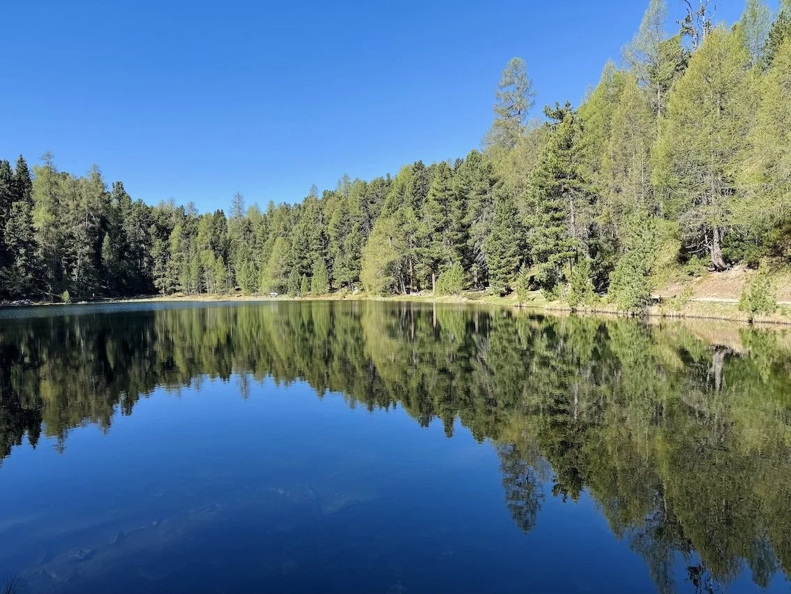 Lago circondato da alberi verdi con riflesso nitido dell'acqua e cielo blu senza nuvole.