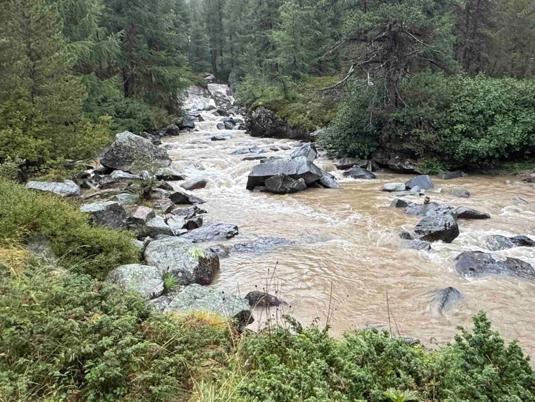 Ova da Bernina ingrossata dalla pioggia con un piccolo ometto di pietre nel letto del fiume, luogo dell’Osservazione 006 a Morteratsch.