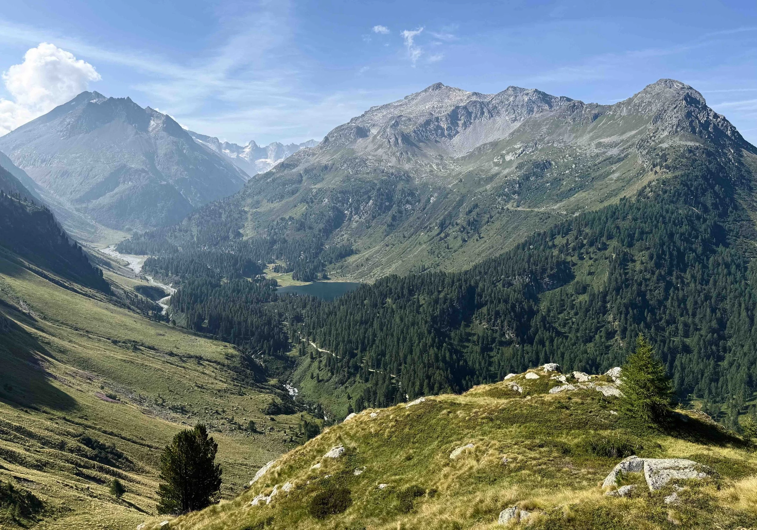 Paesaggio montano con valli erbose, boschi di conifere, un lago e montagne in lontananza sotto un cielo blu con alcune nuvole.