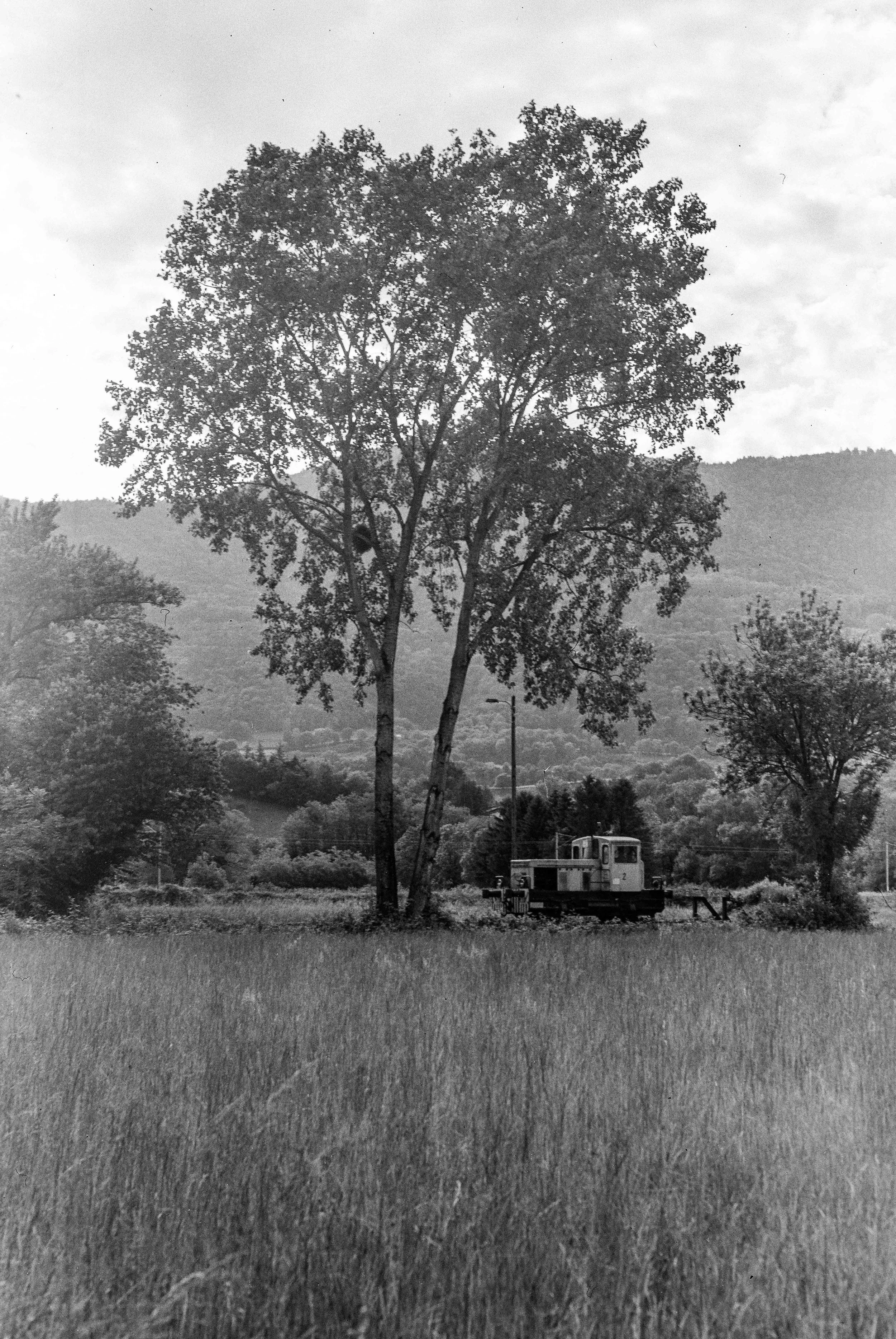 paysage urbain-8.jpg