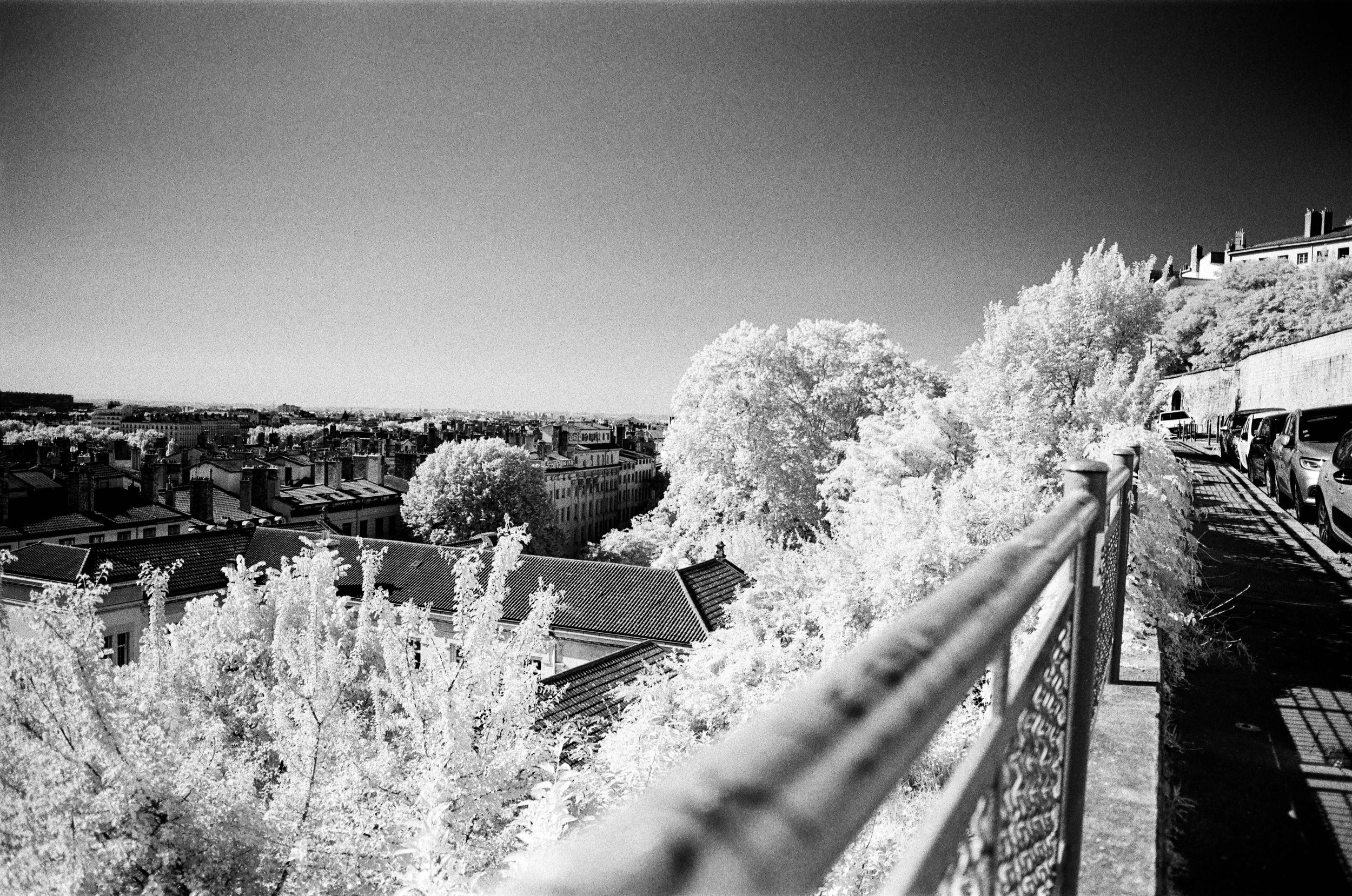 infra 11.jpg